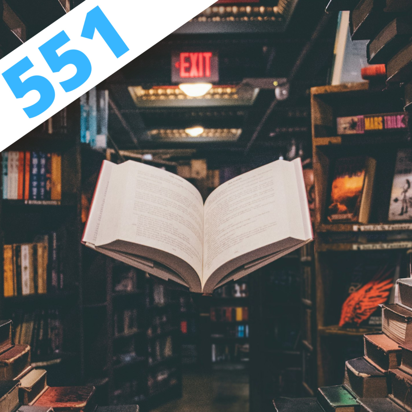 551 - La Biblinfini
