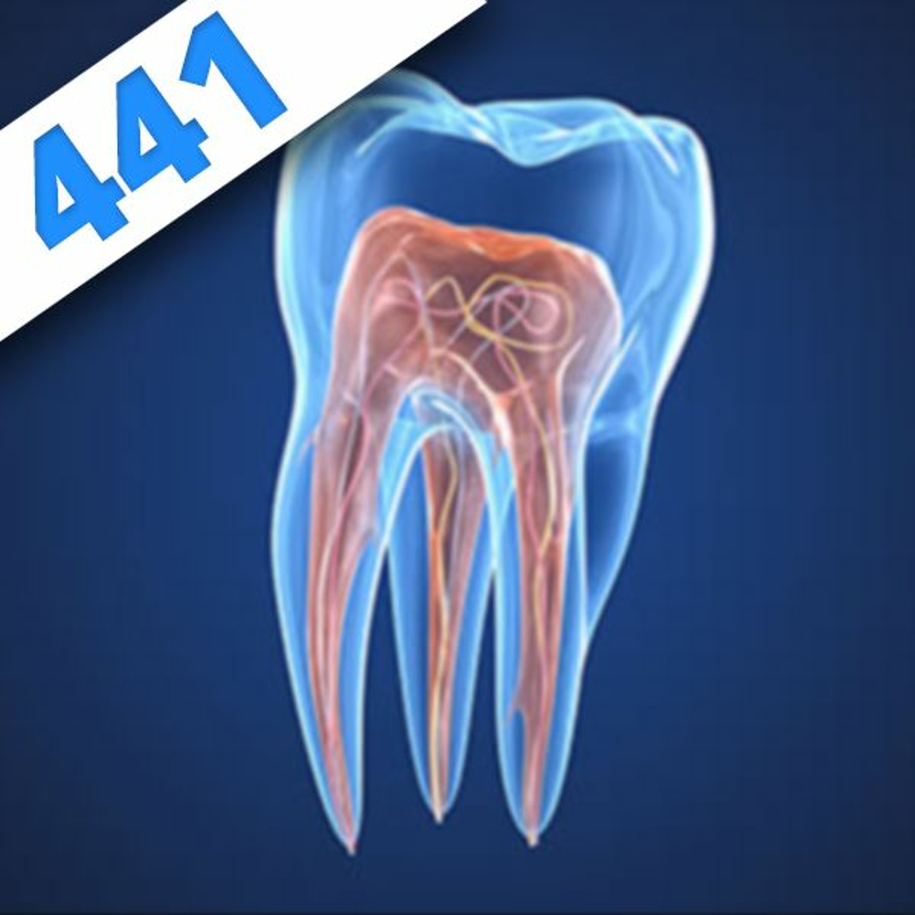 441 - Dans les dents, avec Cyril Vidal