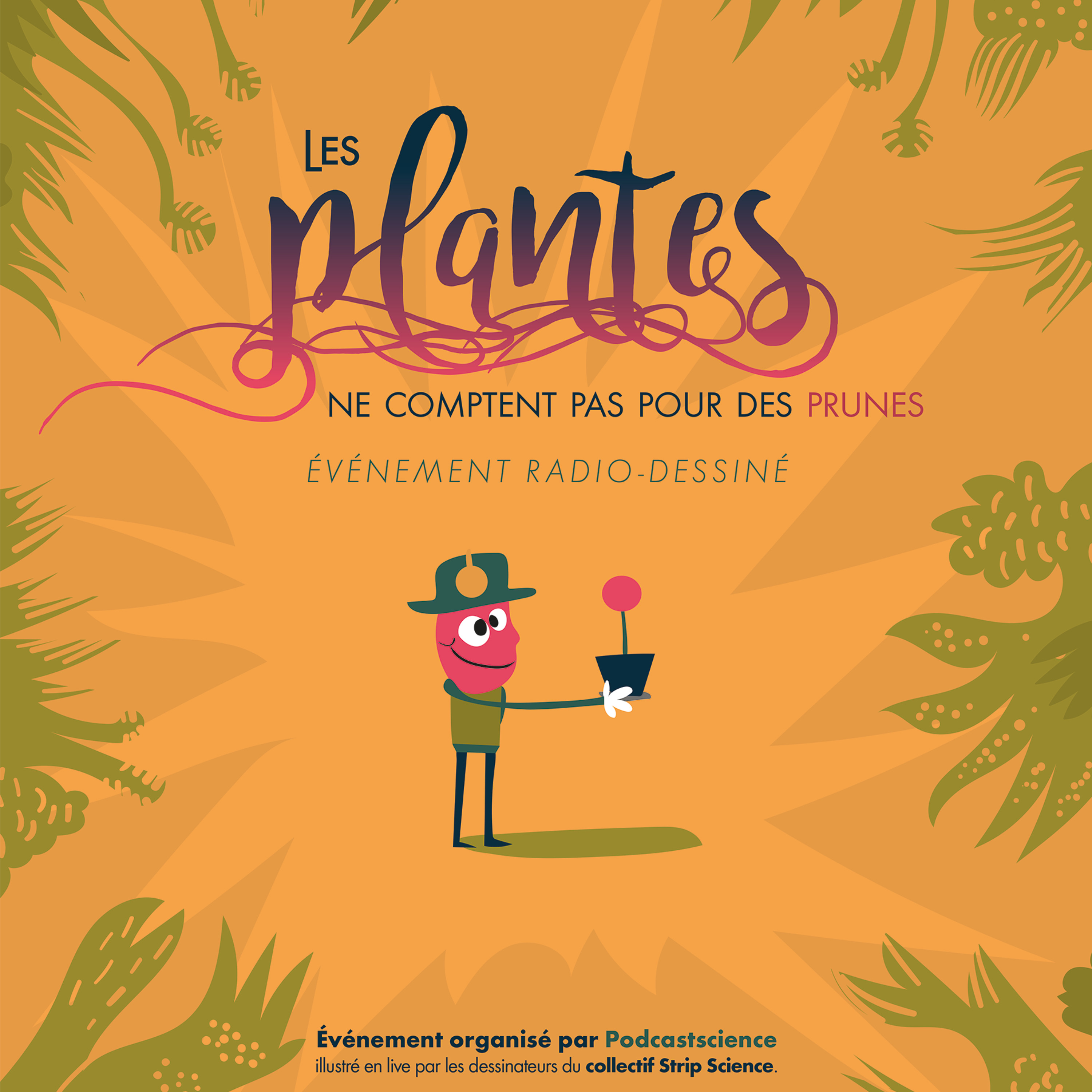 376.3 - Les plantes ne comptent pas pour des prunes - partie 3