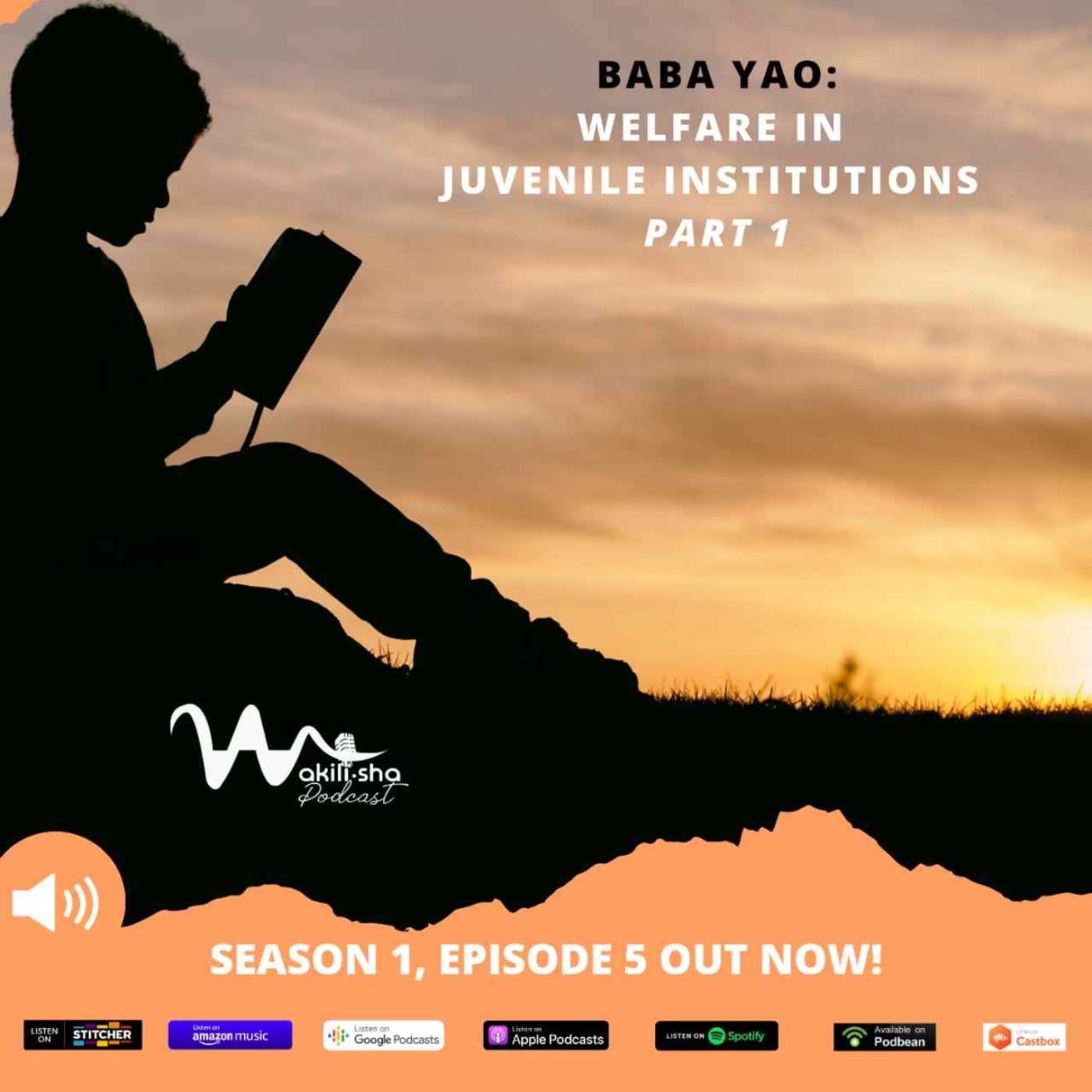 cover art for Baba Yao: Welfare in Juvenile Institutions - Part 1