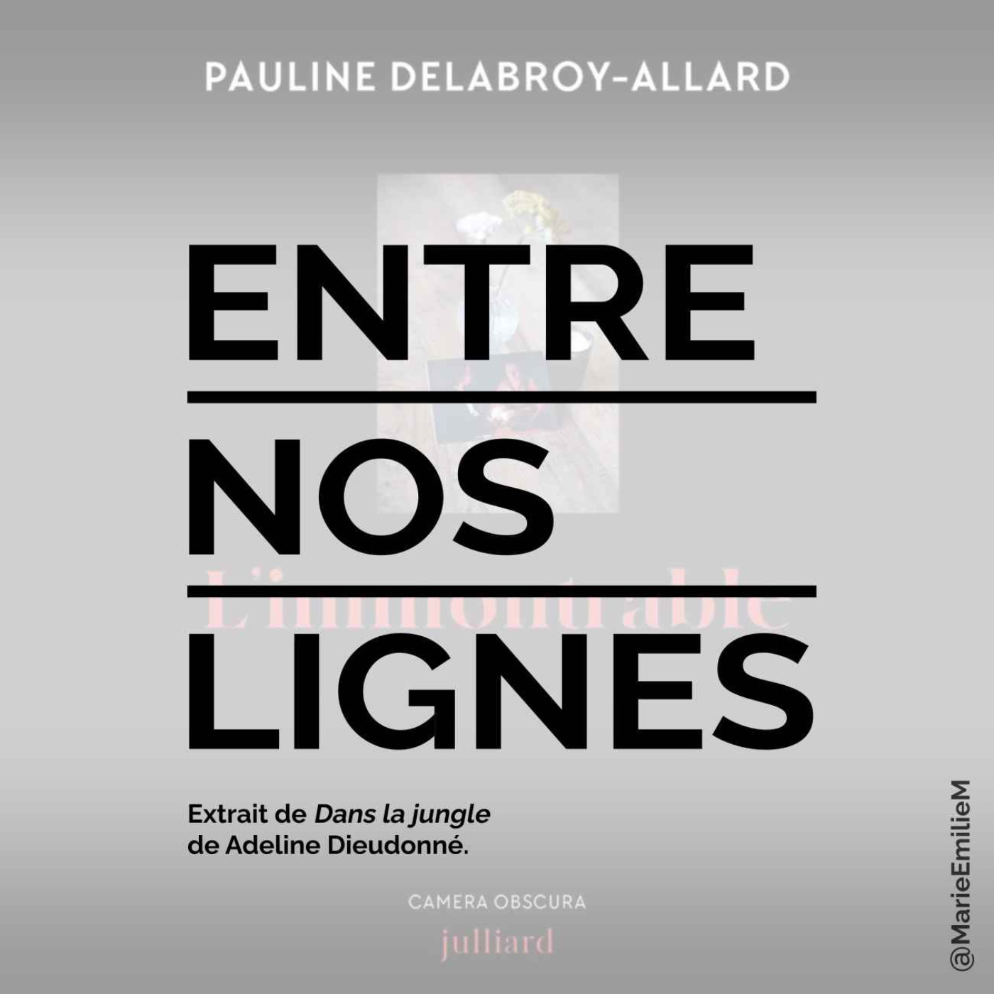 Pauline Delabroy-Allard, L&rsquo;immontrable