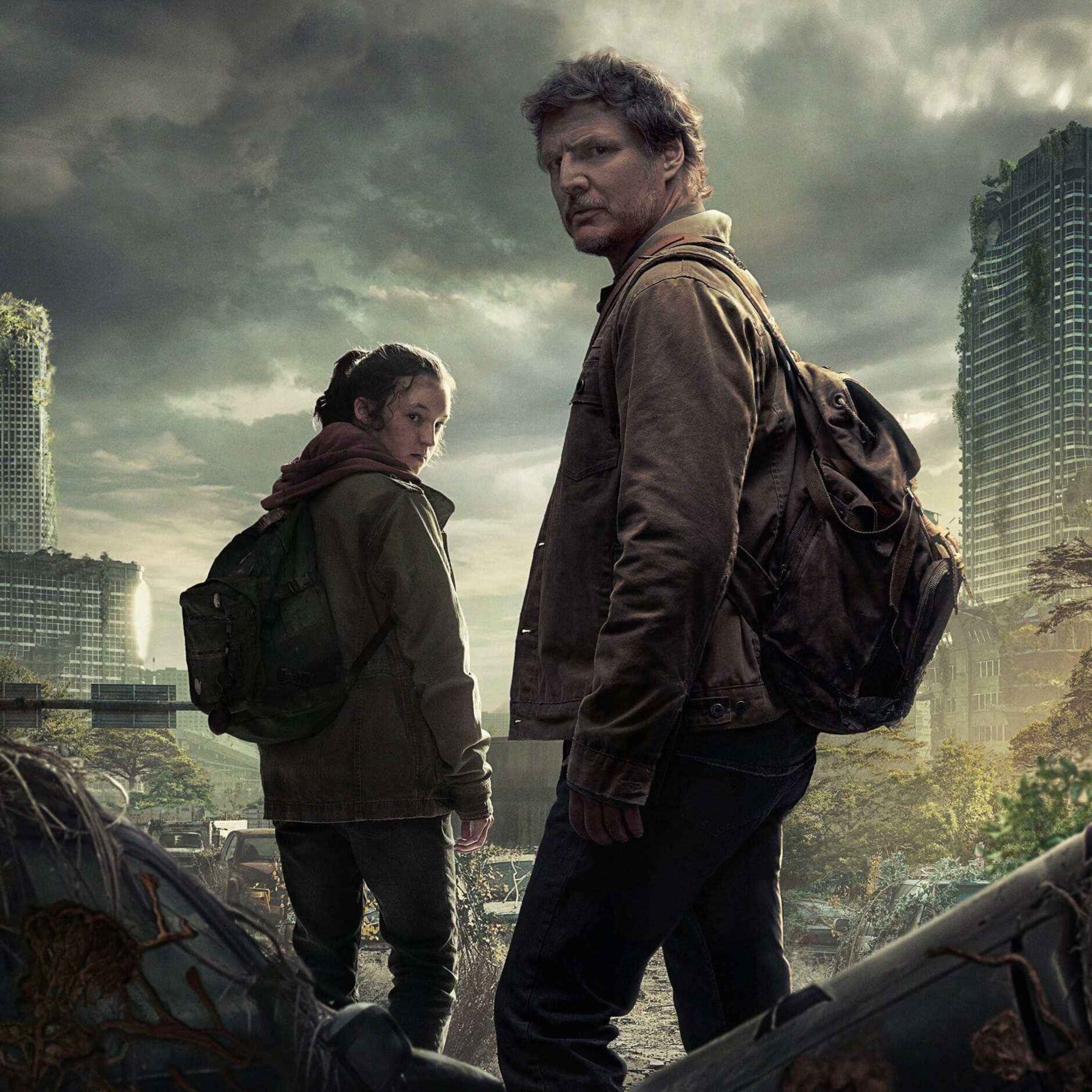 262: The Last of Us episode artwork