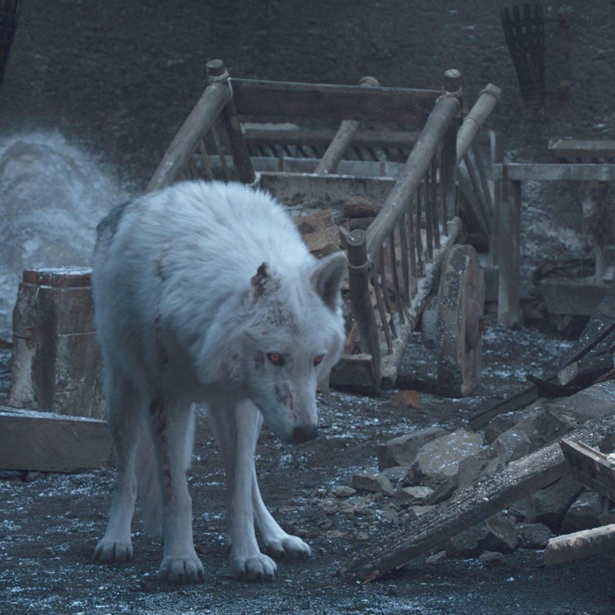 51: Game of Thrones S08E04 - The Last of the Starks episode artwork