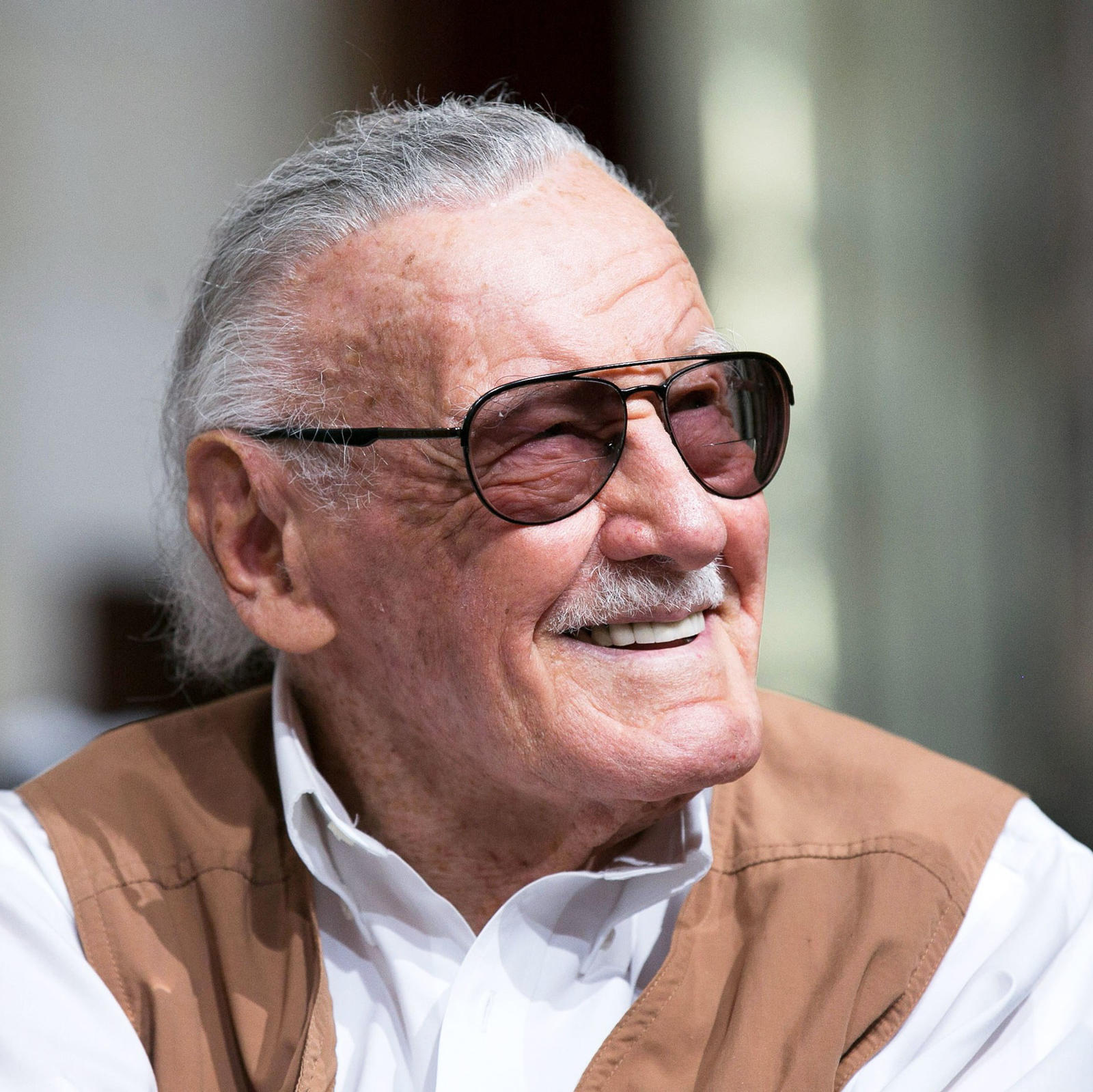 Especial: Stan Lee episode artwork