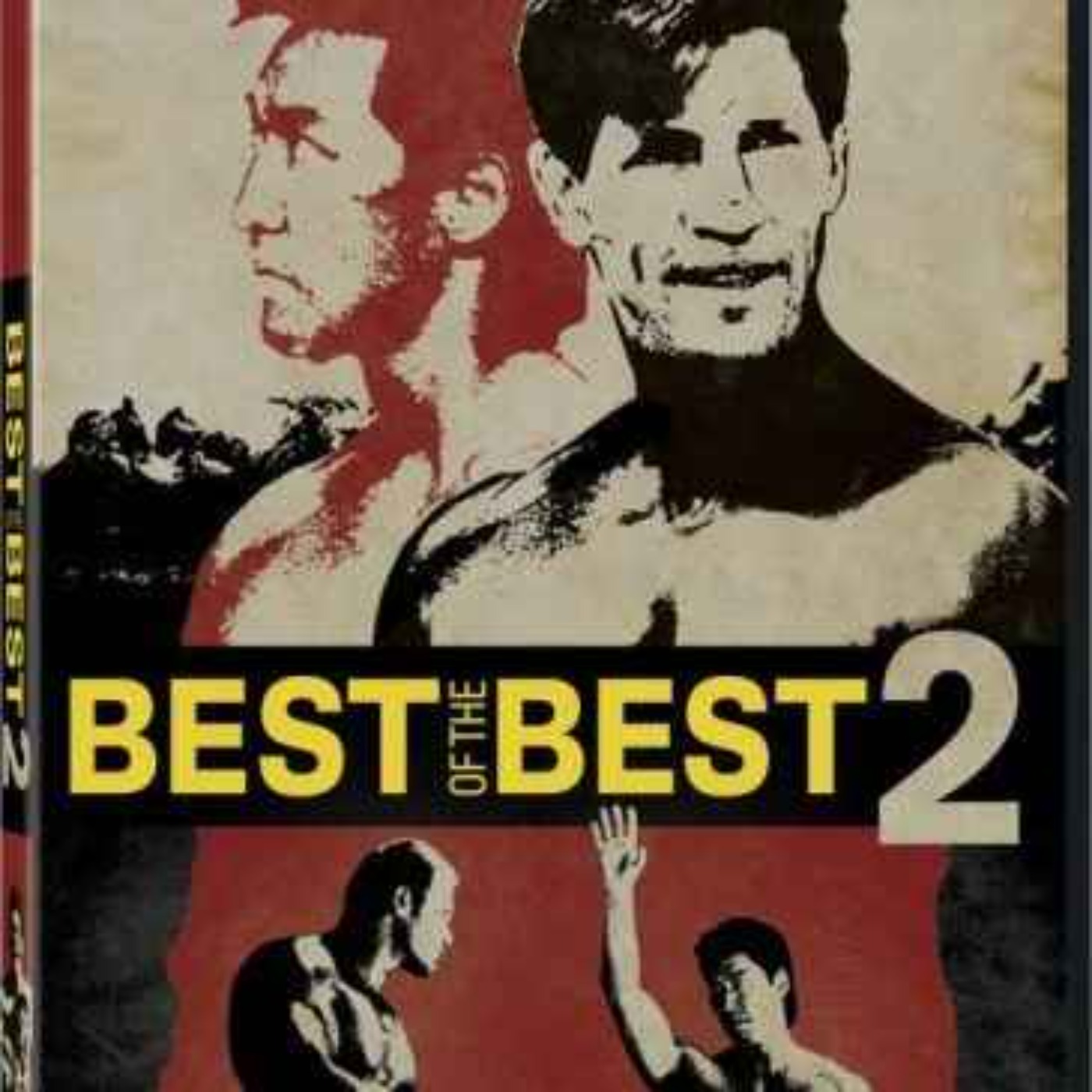 cover art for Best of the Best 2