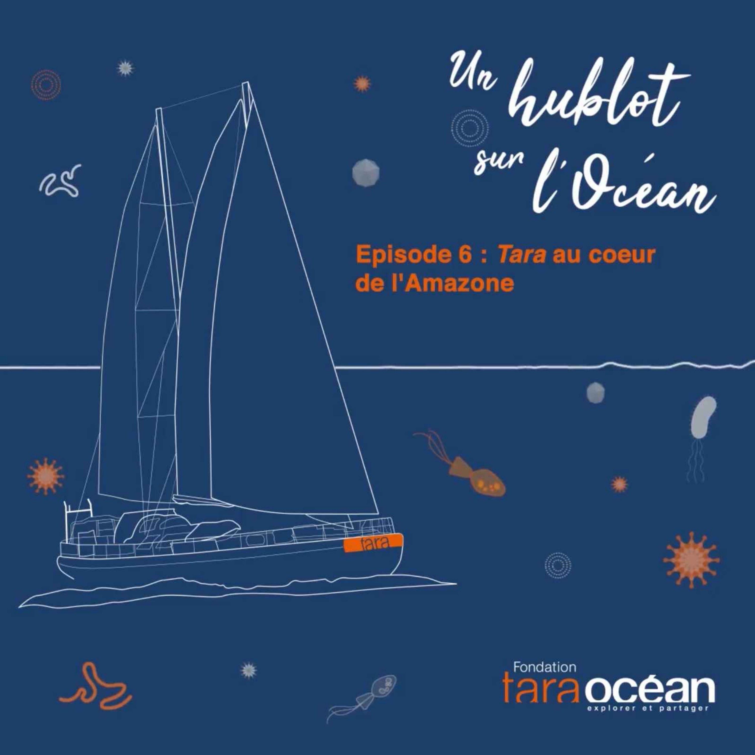 Un hublot sur l\'Océan - Fondation Tara Océan