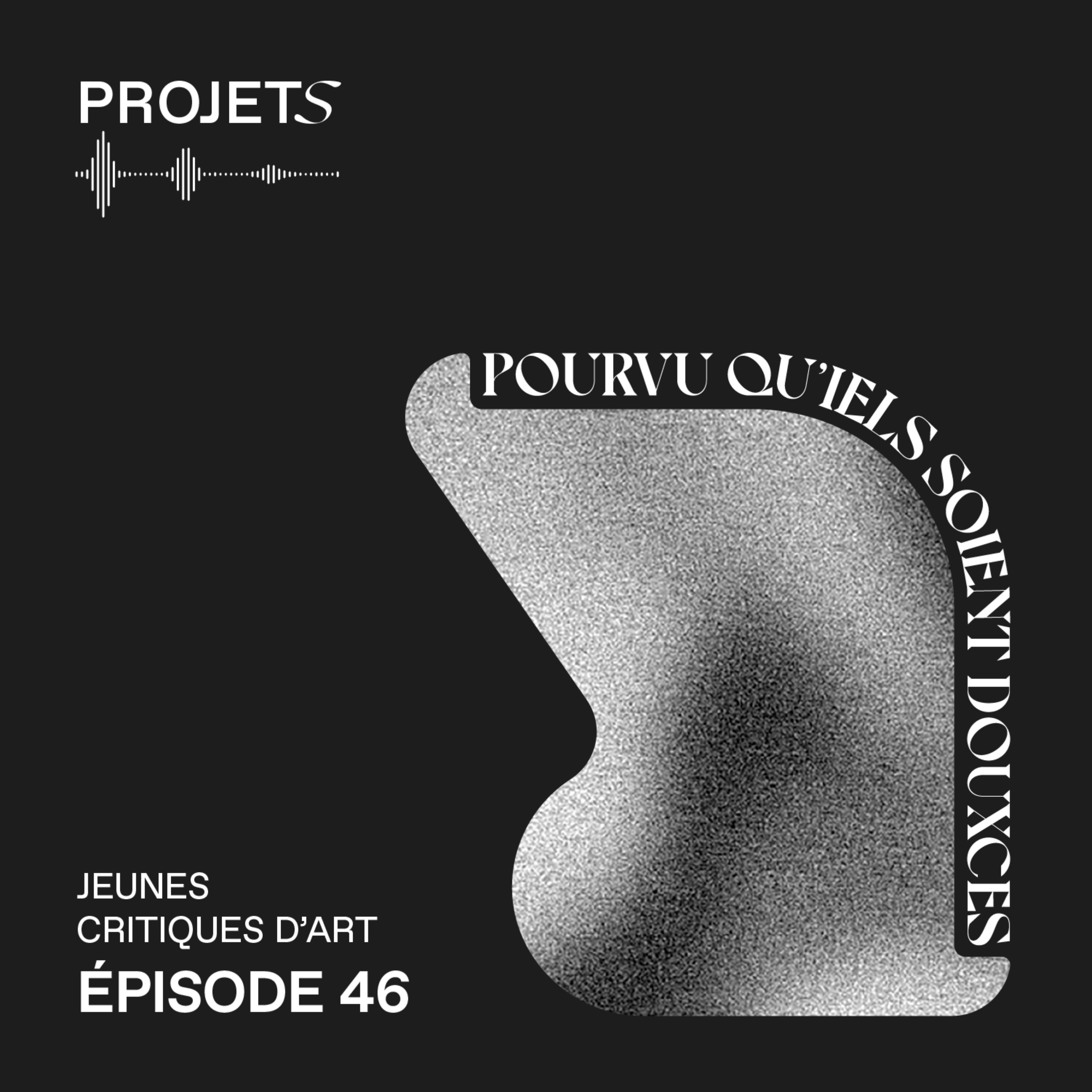 POURVU QU’IELS SOIENT DOUXCES - E46 episode artwork