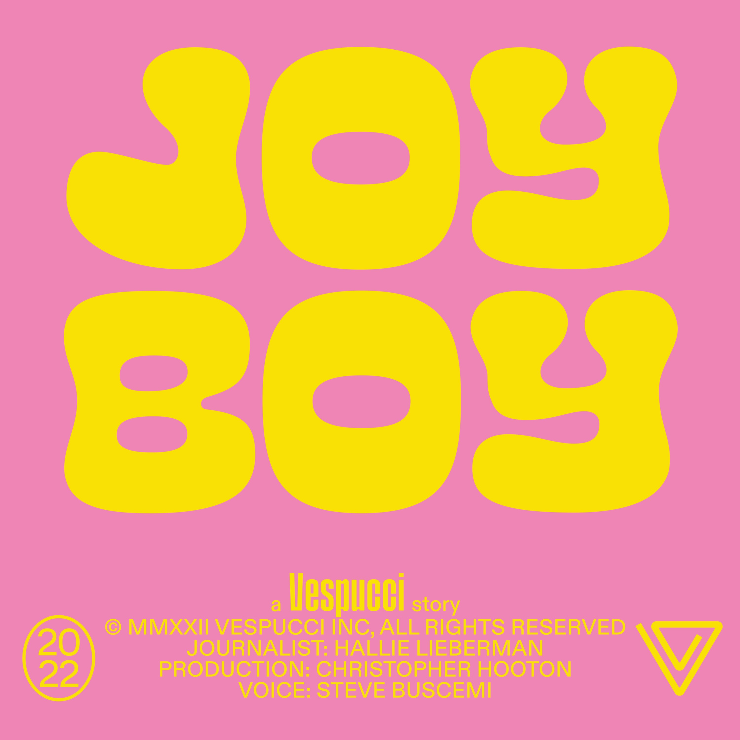 cover art for Joy Boy
