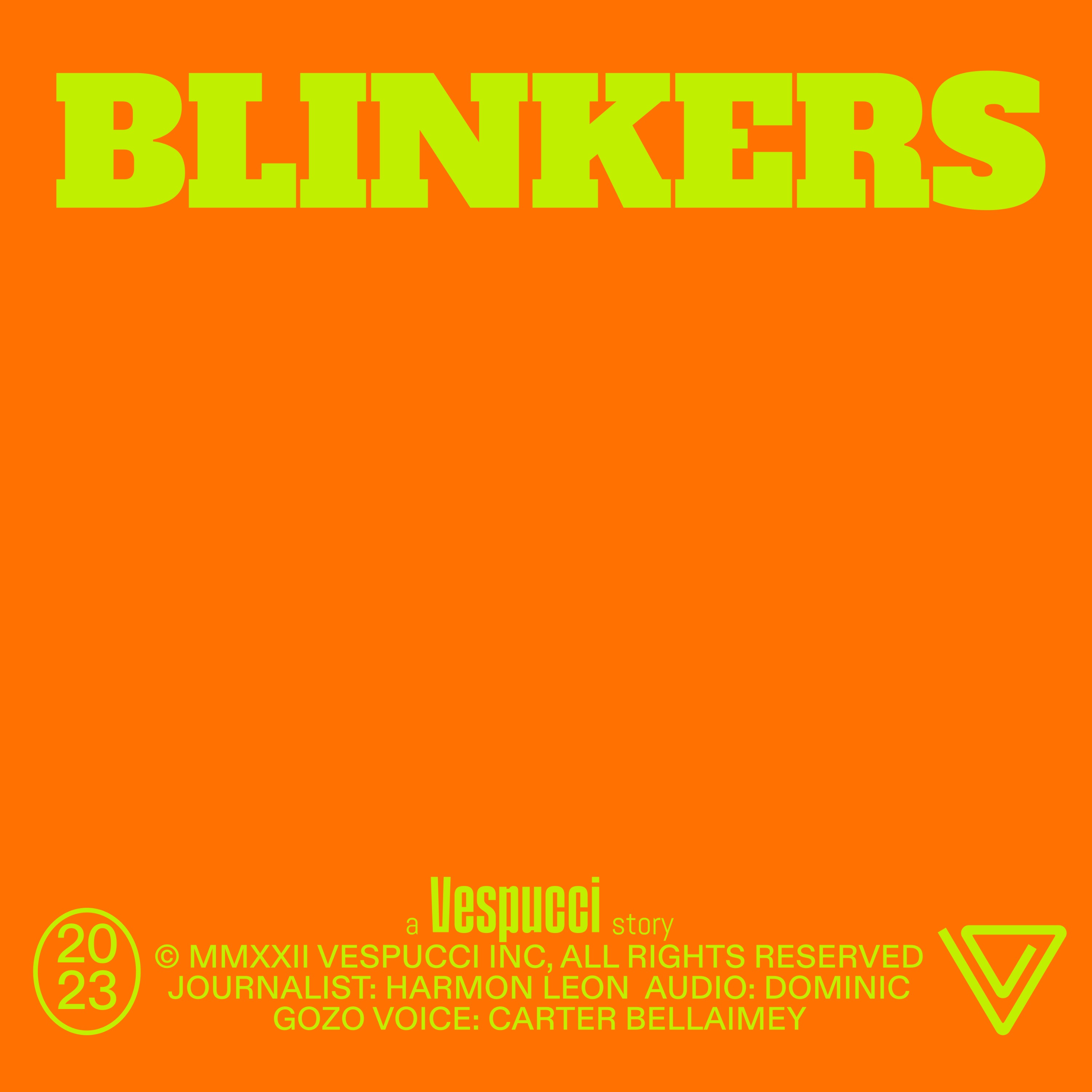 cover art for Blinkers