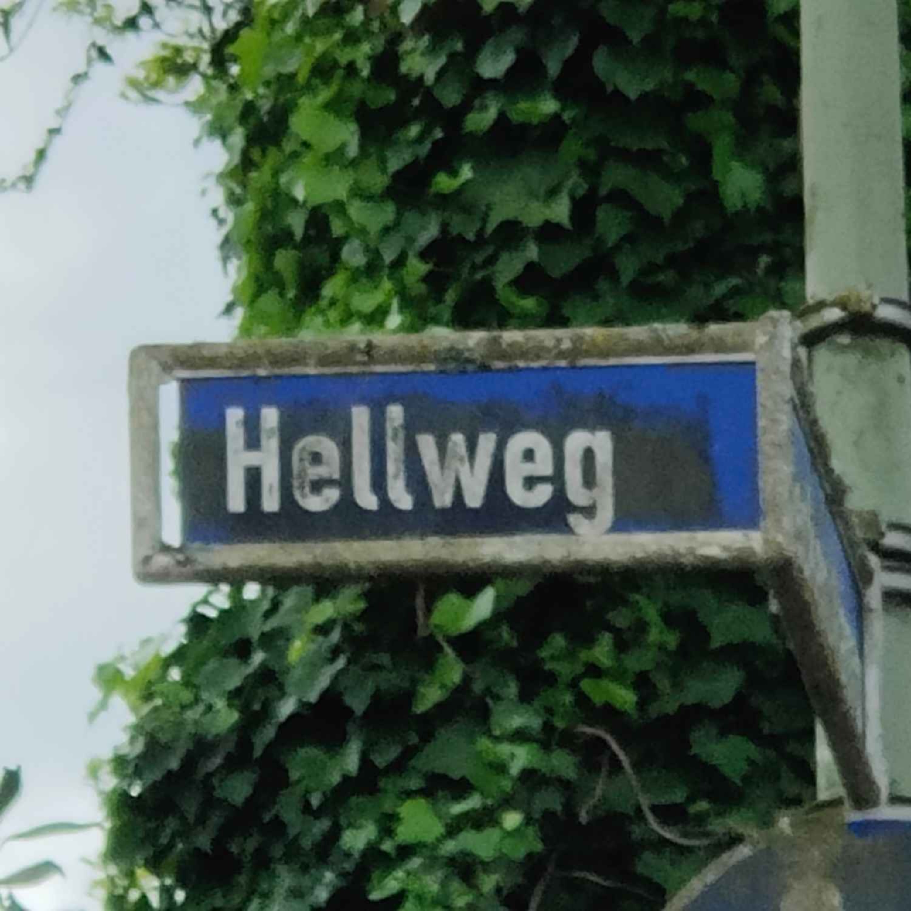 Die Liudolfinger