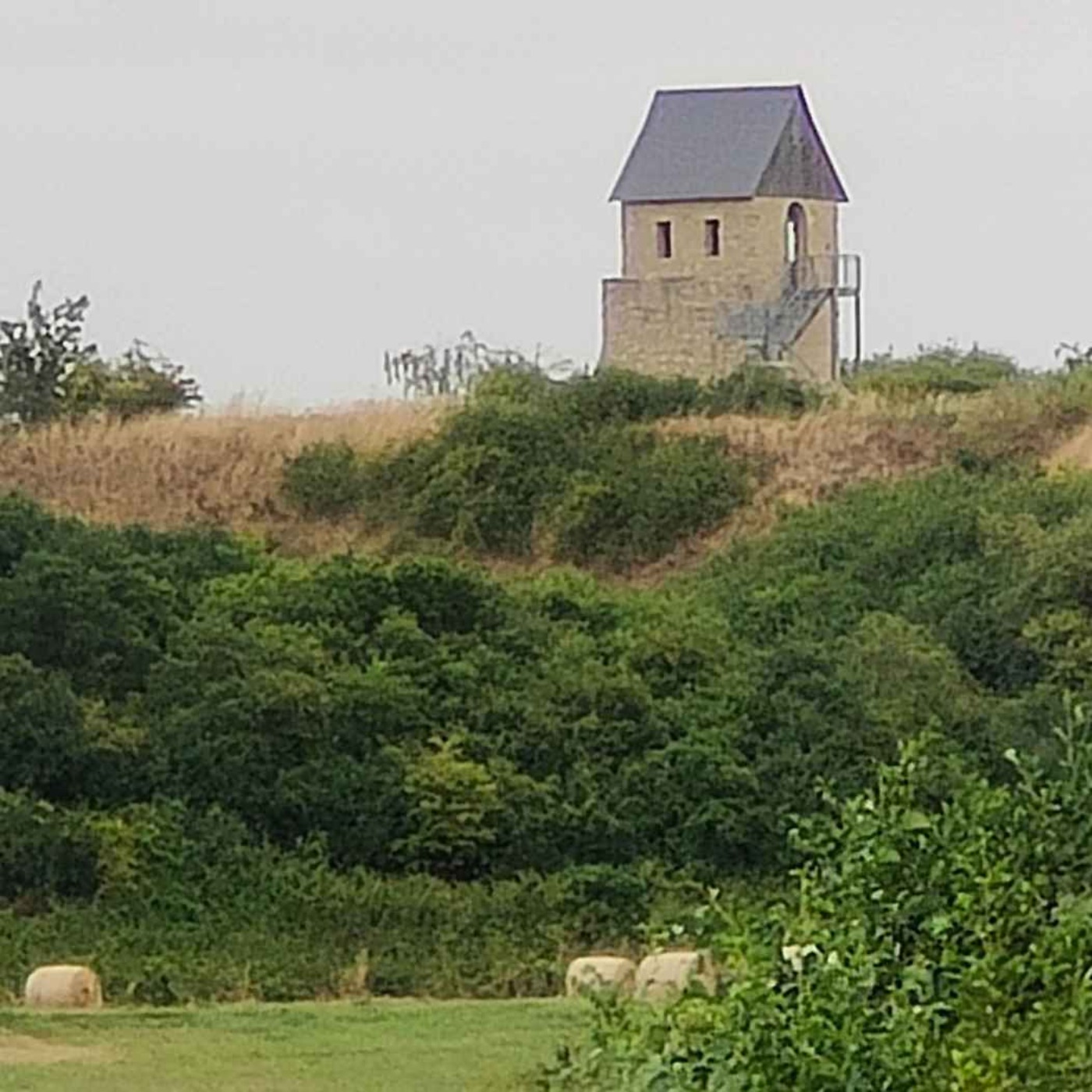 Die Liudolfinger