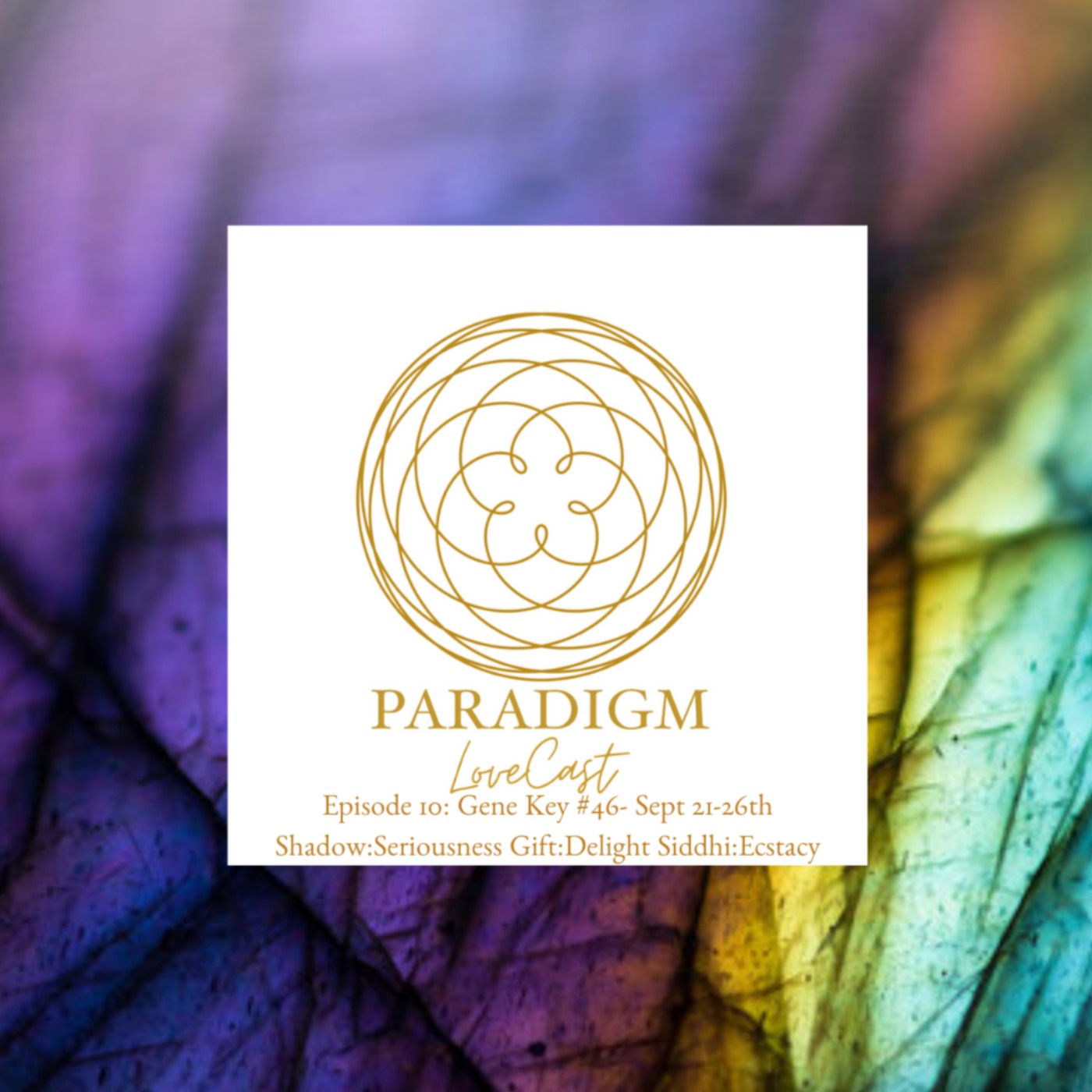 Paradigm LoveCast