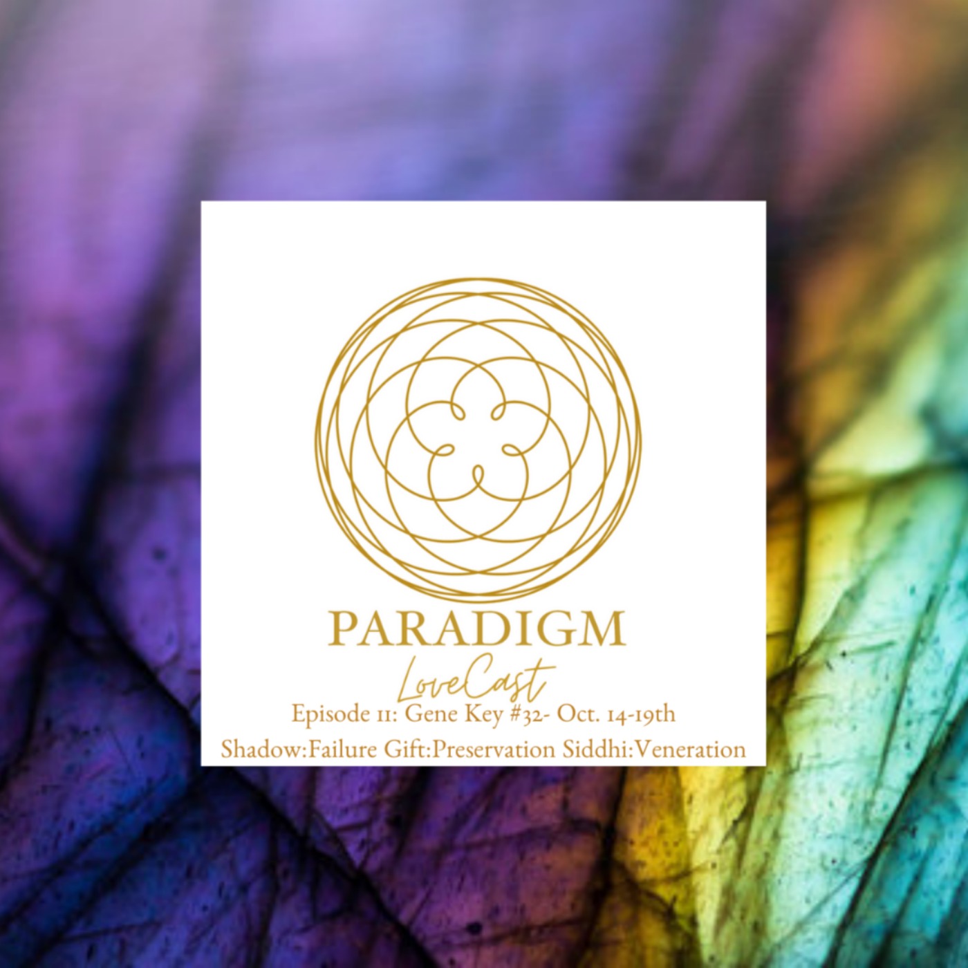 Paradigm LoveCast