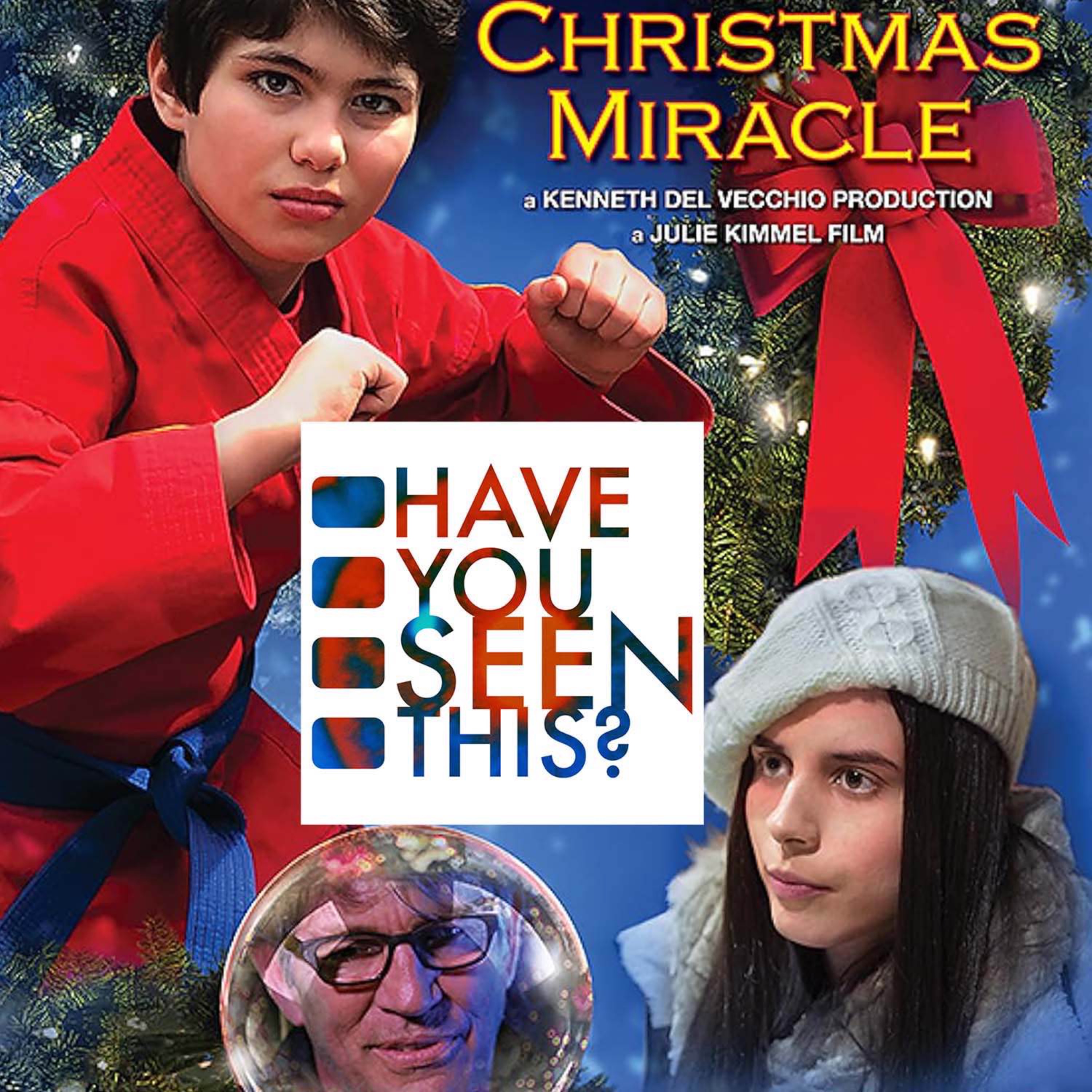 263 - A Karate Christmas Miracle