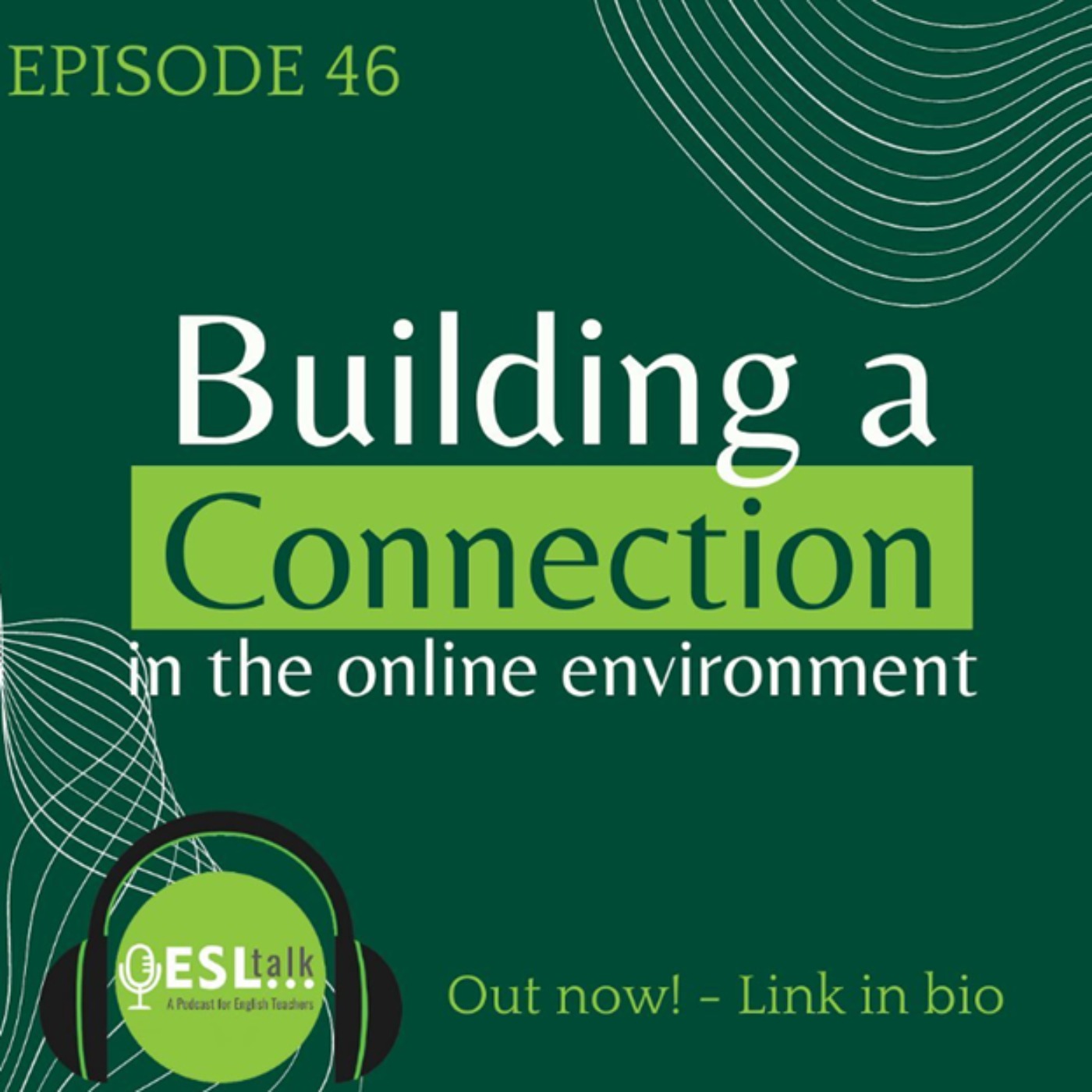 Building a Connection in the Online Environment