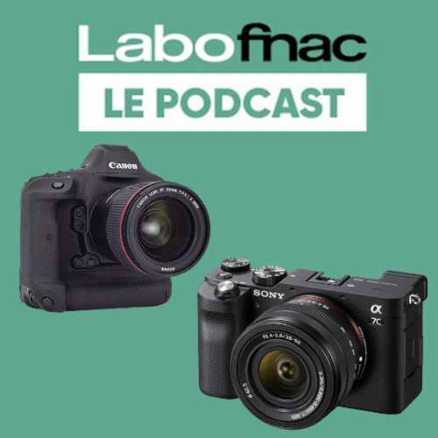 Labo Fnac - Appareils photo Reflex vs Hybride, lequel choisir ?