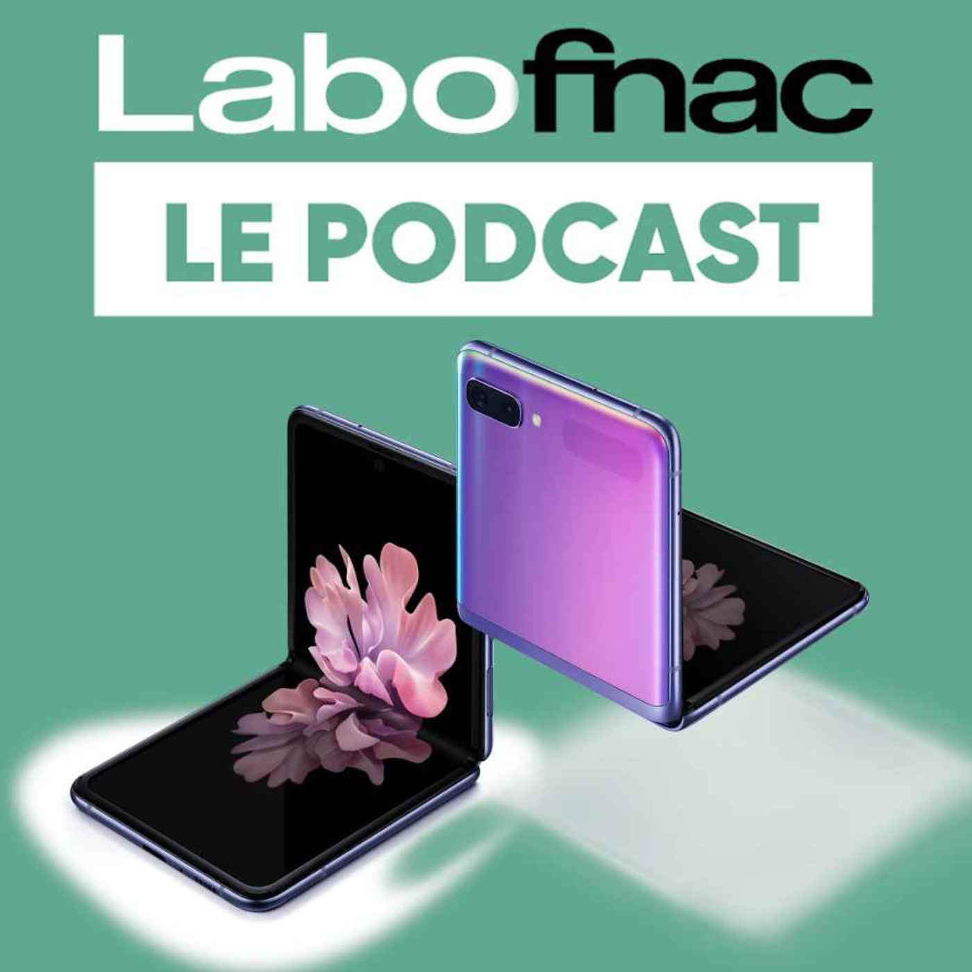 Labo Fnac - Smartphone pliable : on craque ou pas ?