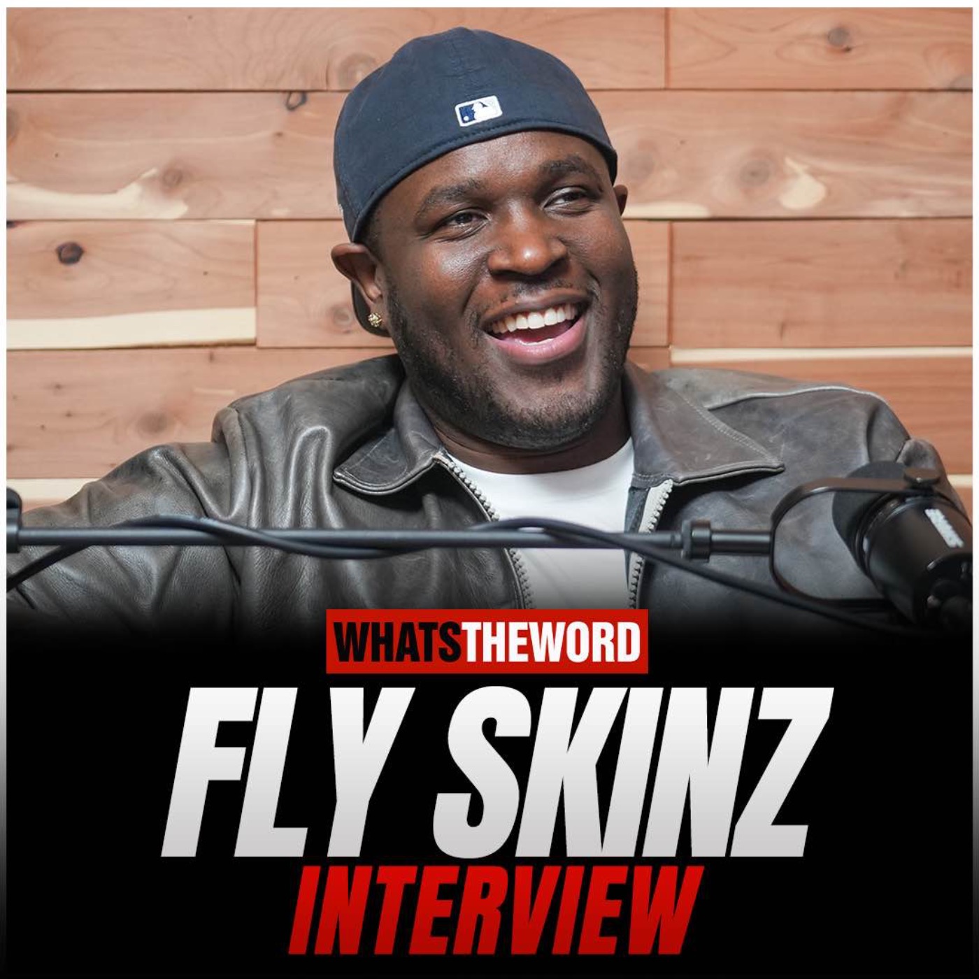 Fly Skinz Interview episode artwork