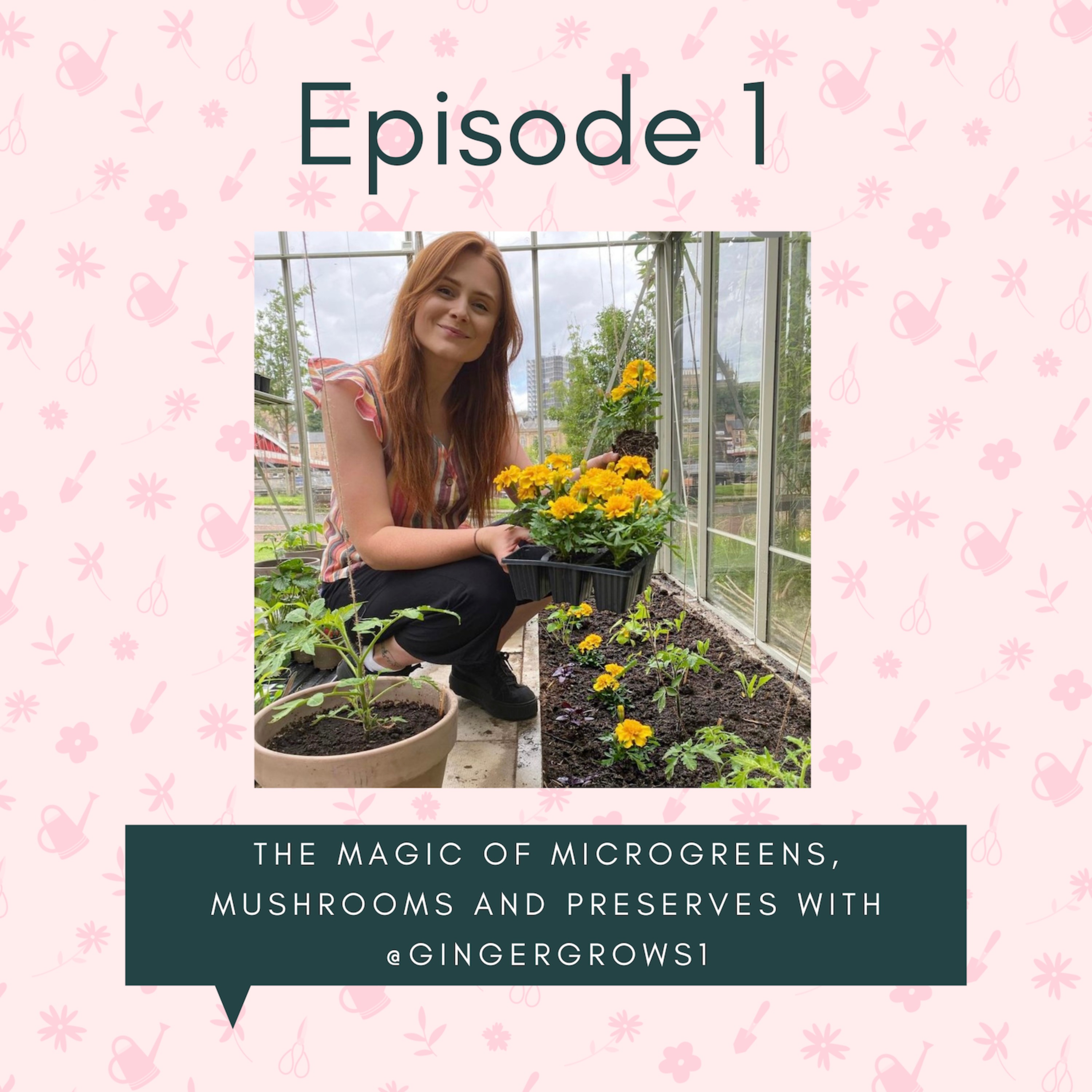 cover art for The magic of microgreens, mushrooms and preserves with @gingergrows1