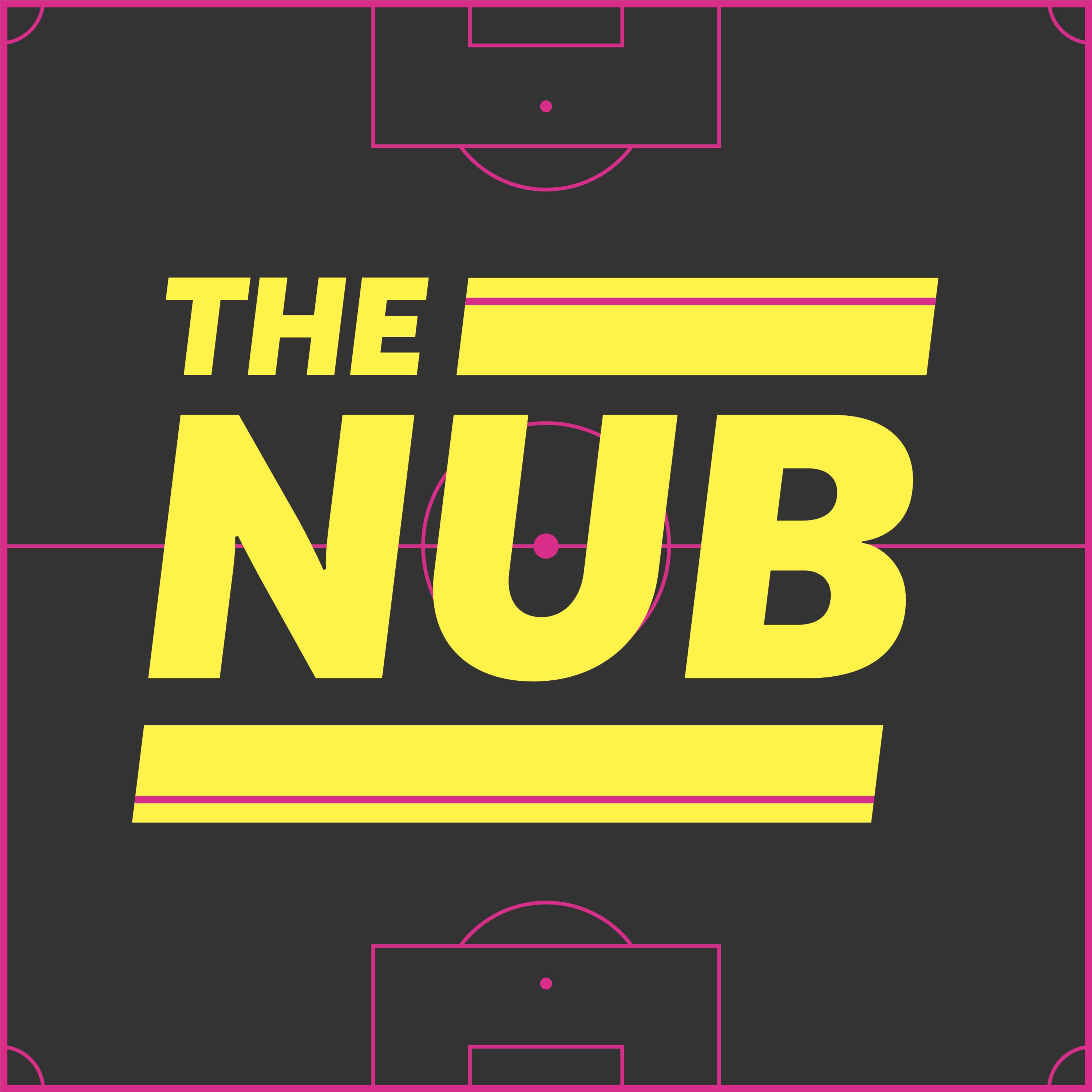 cover art for Introducing... The Nub