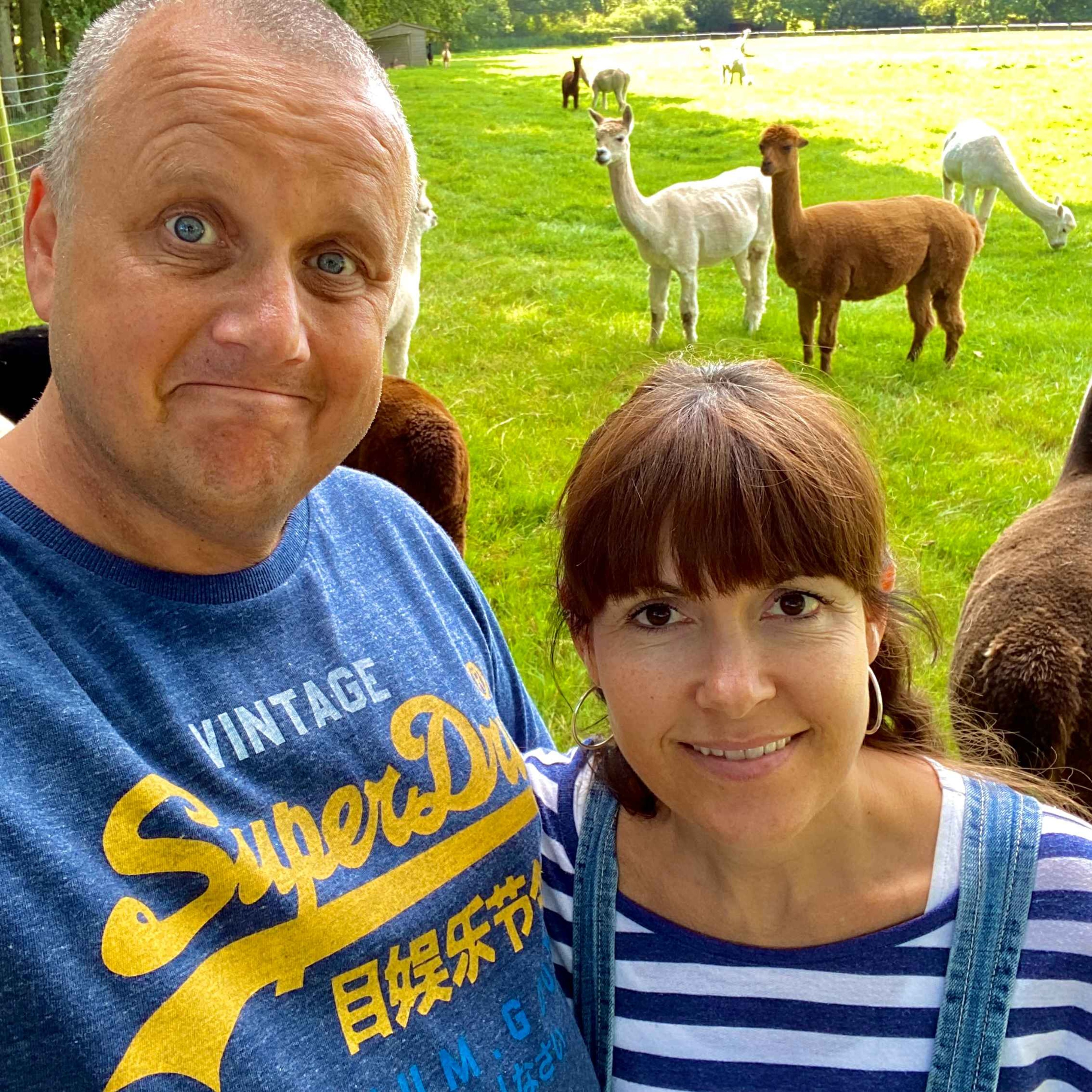 #HAWSTL 038 - HAMPSHIRE DIARIES: ALPACAS & FOGHORNS