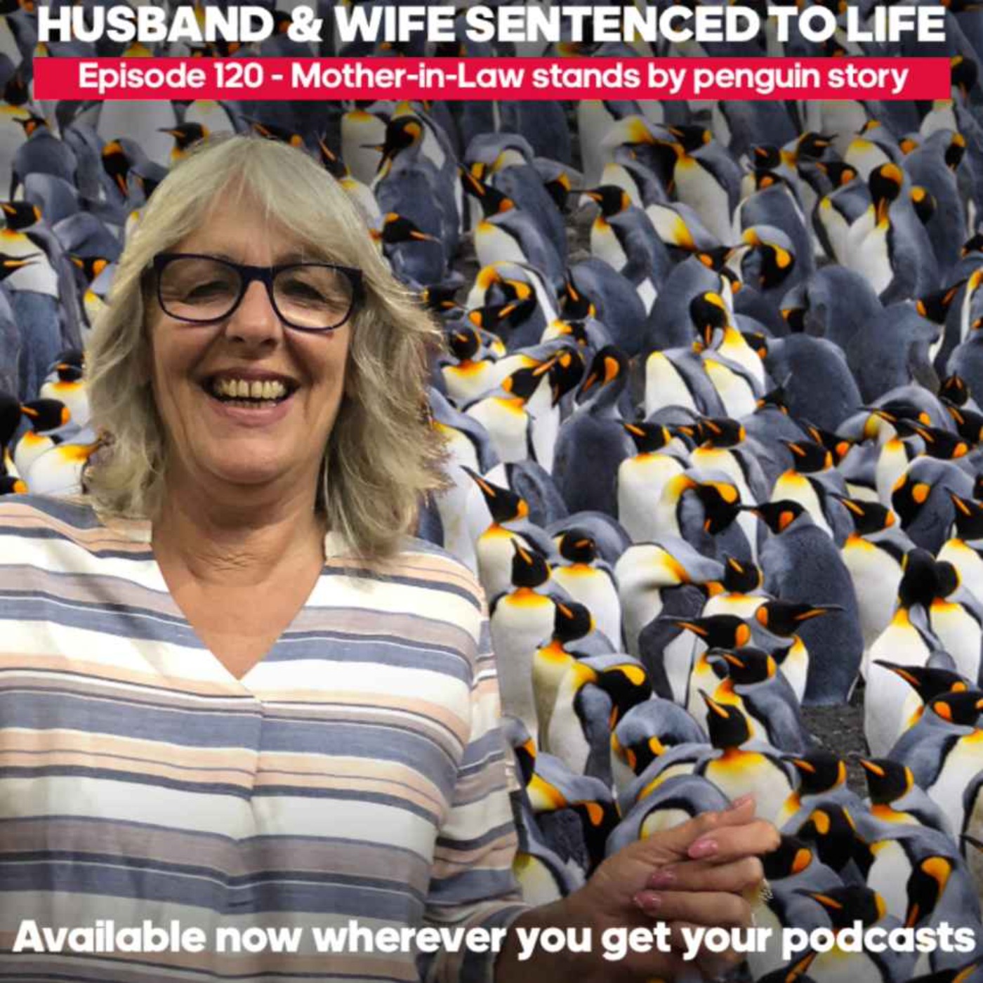 #HAWSTL 120 - Mother-in-Law stands by penguin story