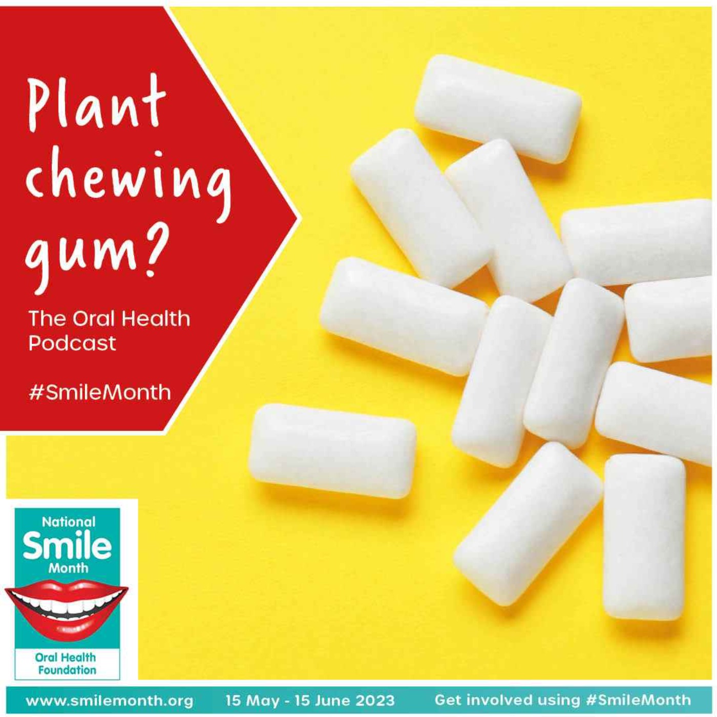Plant based chewing gum