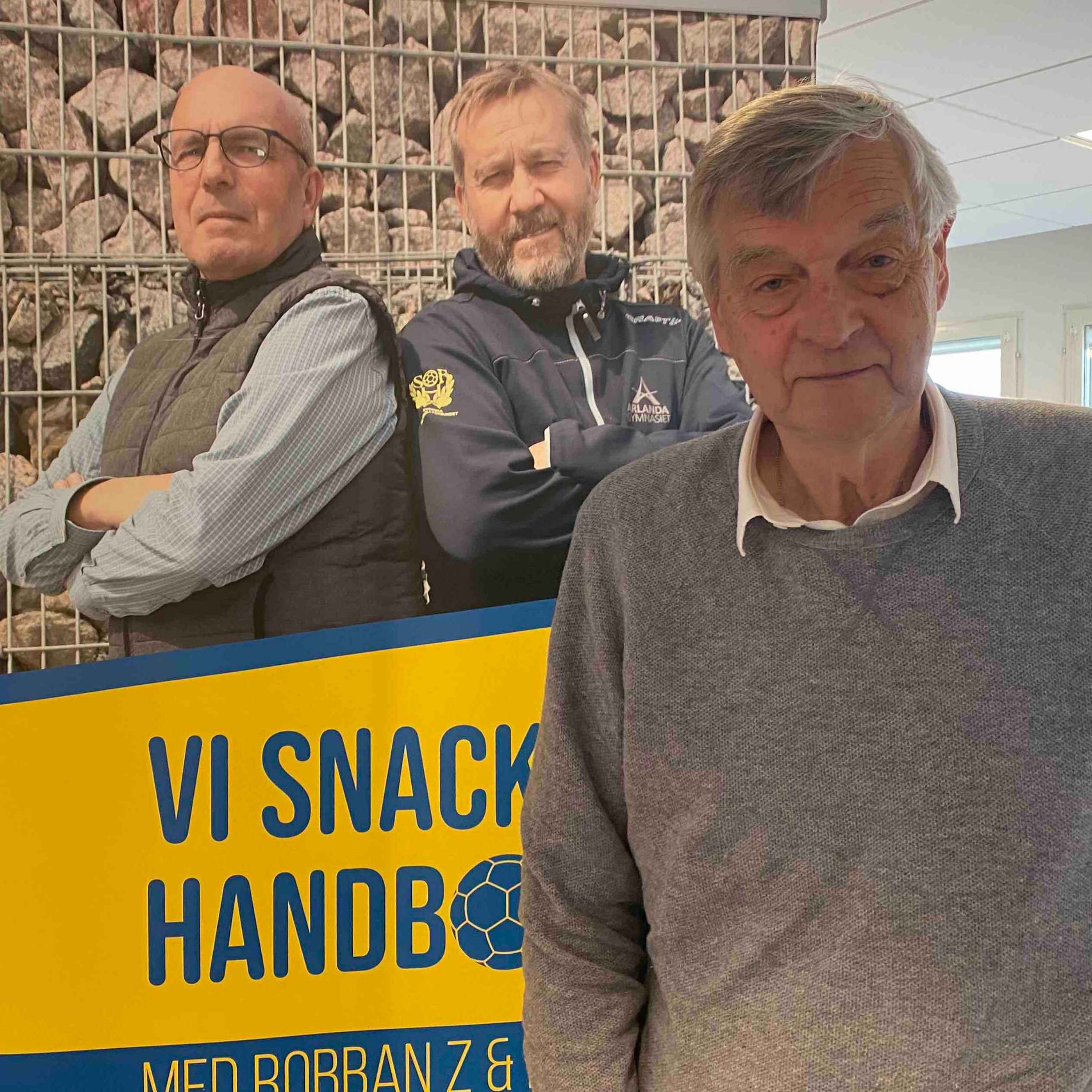 Vi snackar Handboll