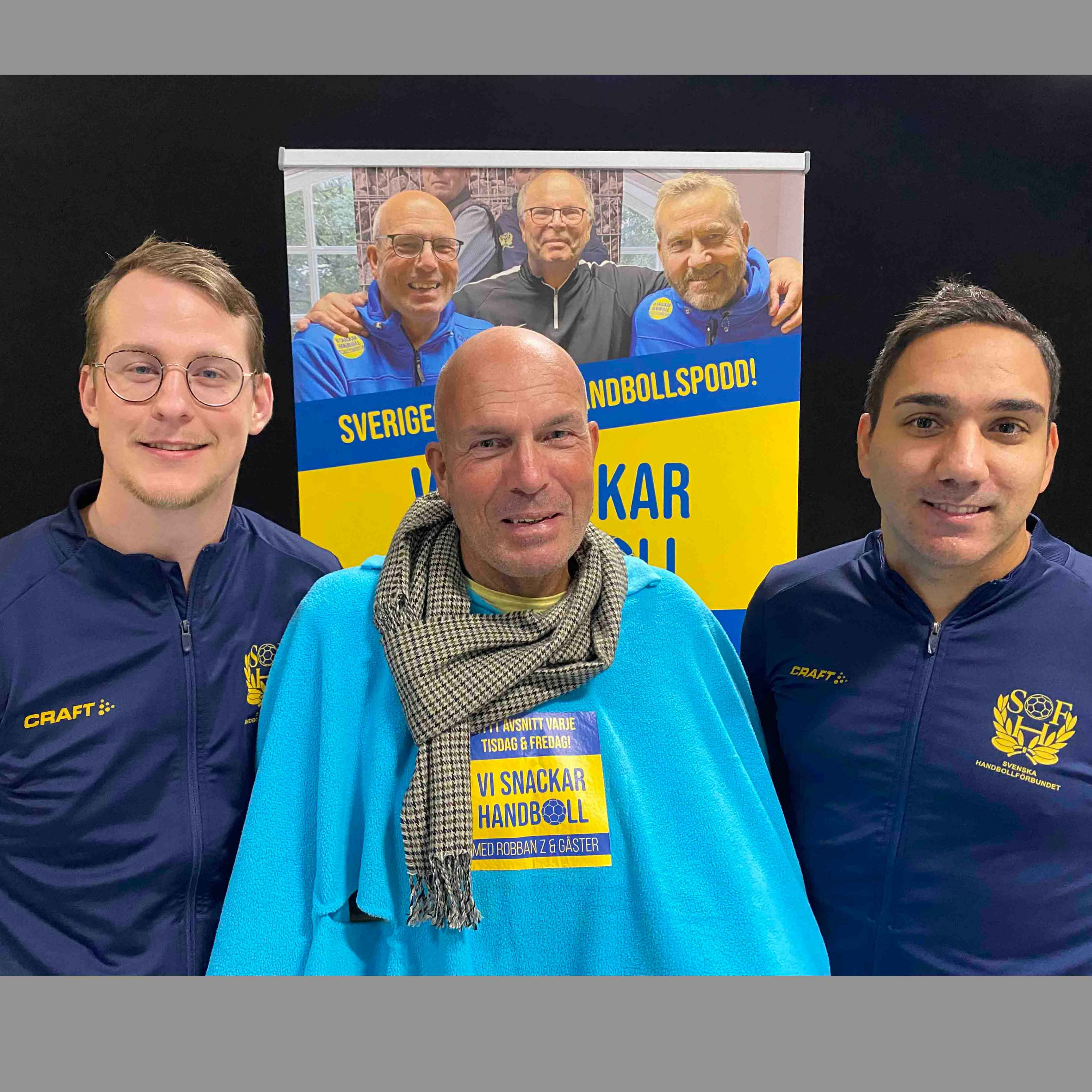 Vi snackar Handboll