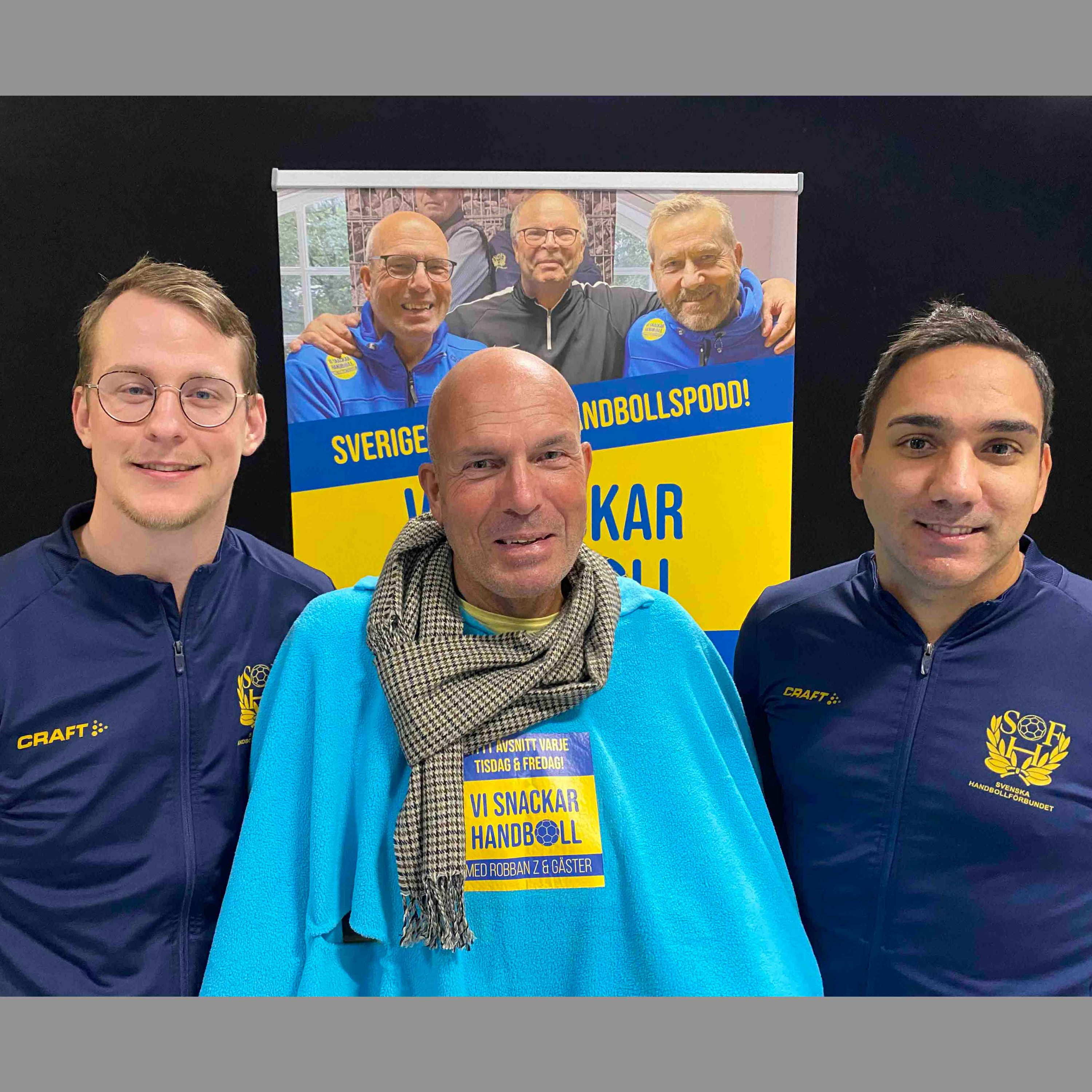 Vi snackar Handboll
