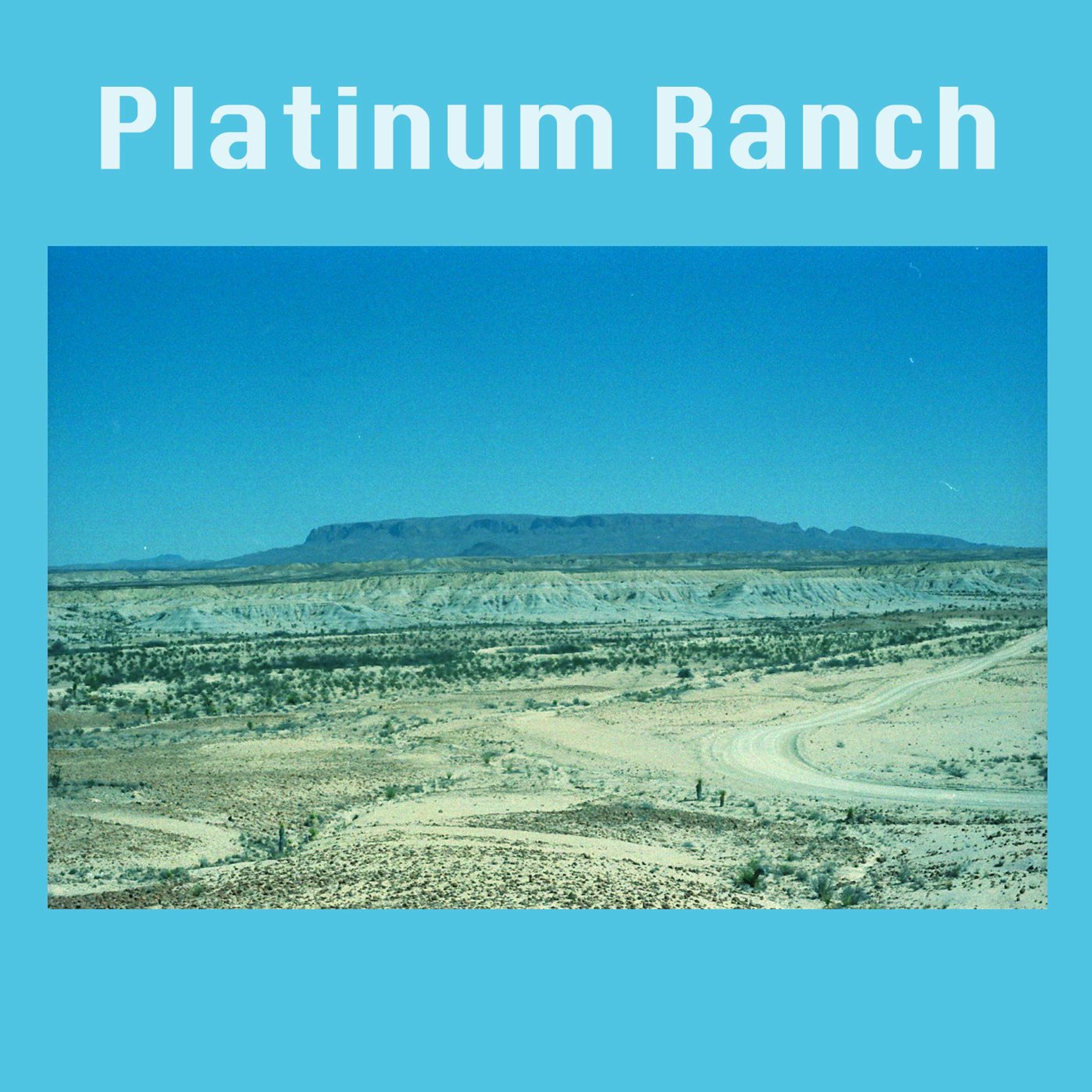 04 (Low-serotonin platinum, an MSN voice message)