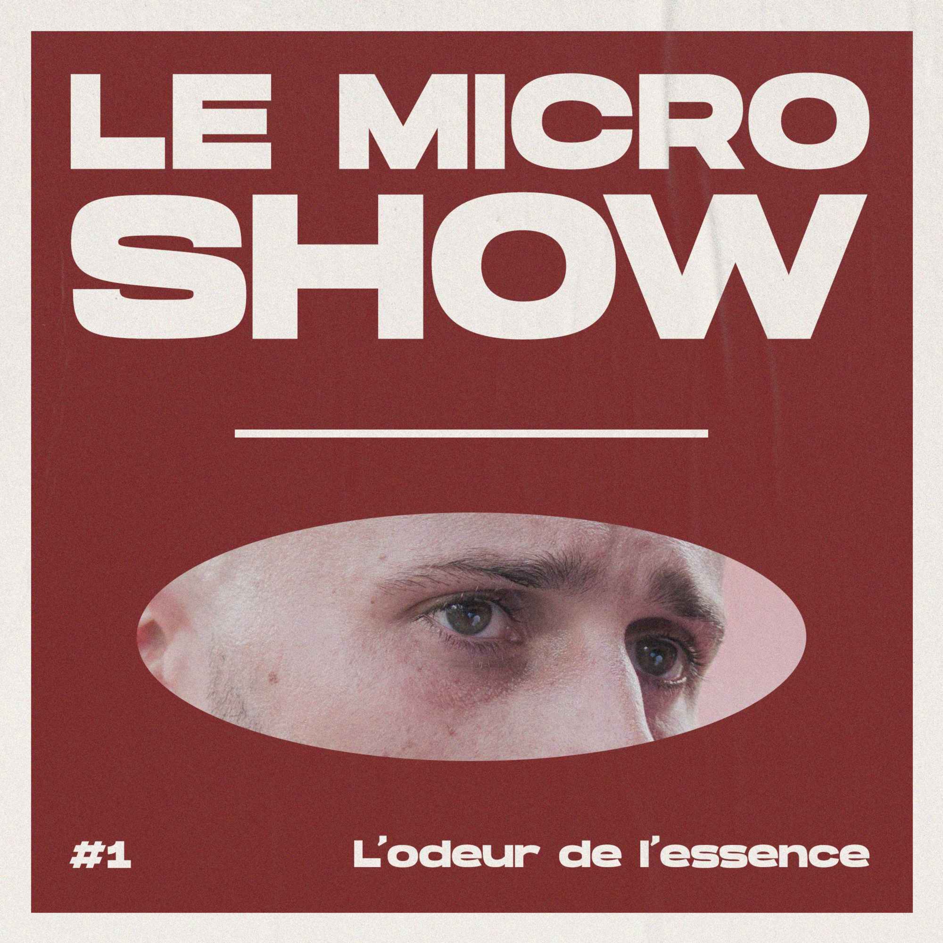 Le Dijon Show TV - Le Maxi Best-of
