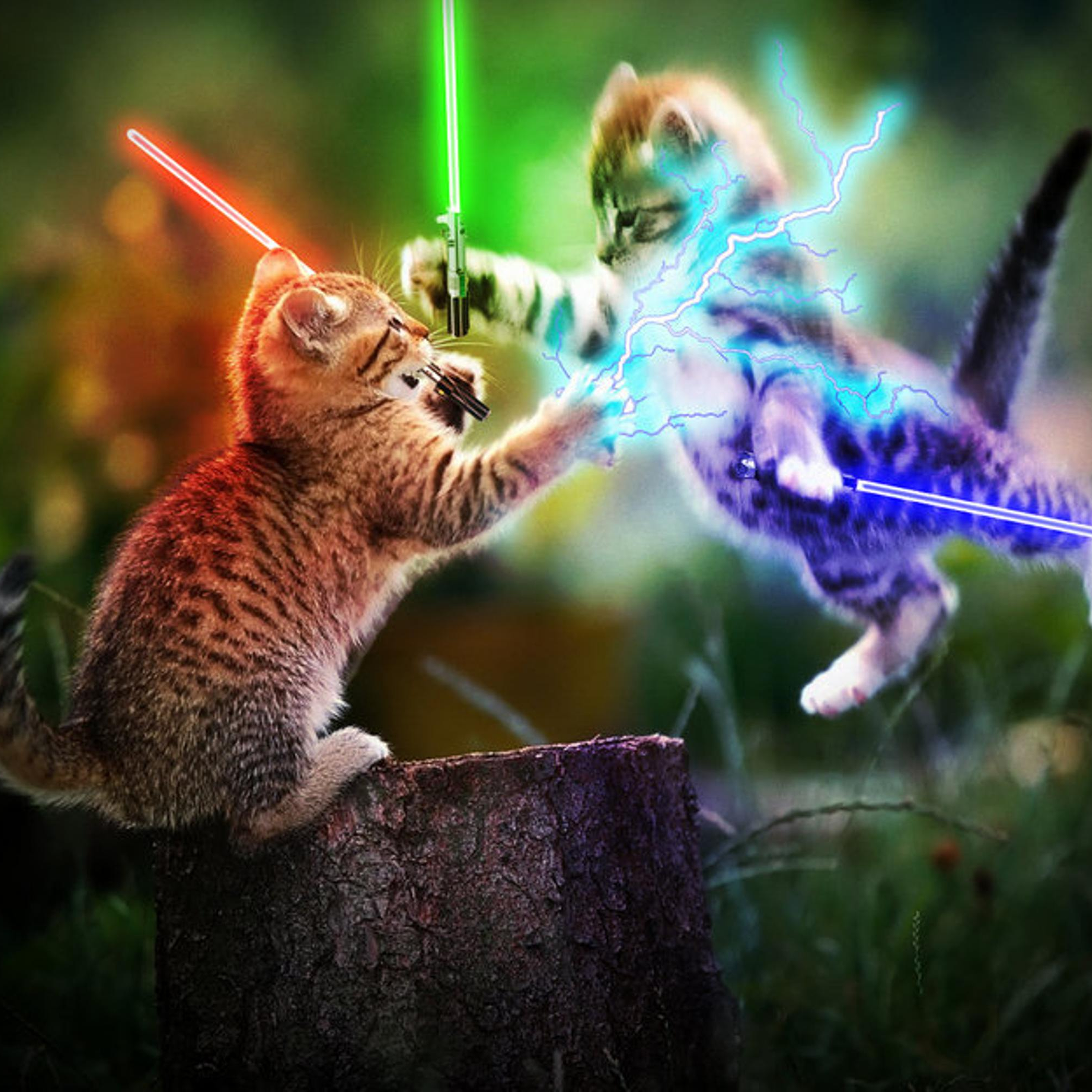 204. CHRISTMAS & Cats & Star Wars: Rise of Skywalker episode artwork