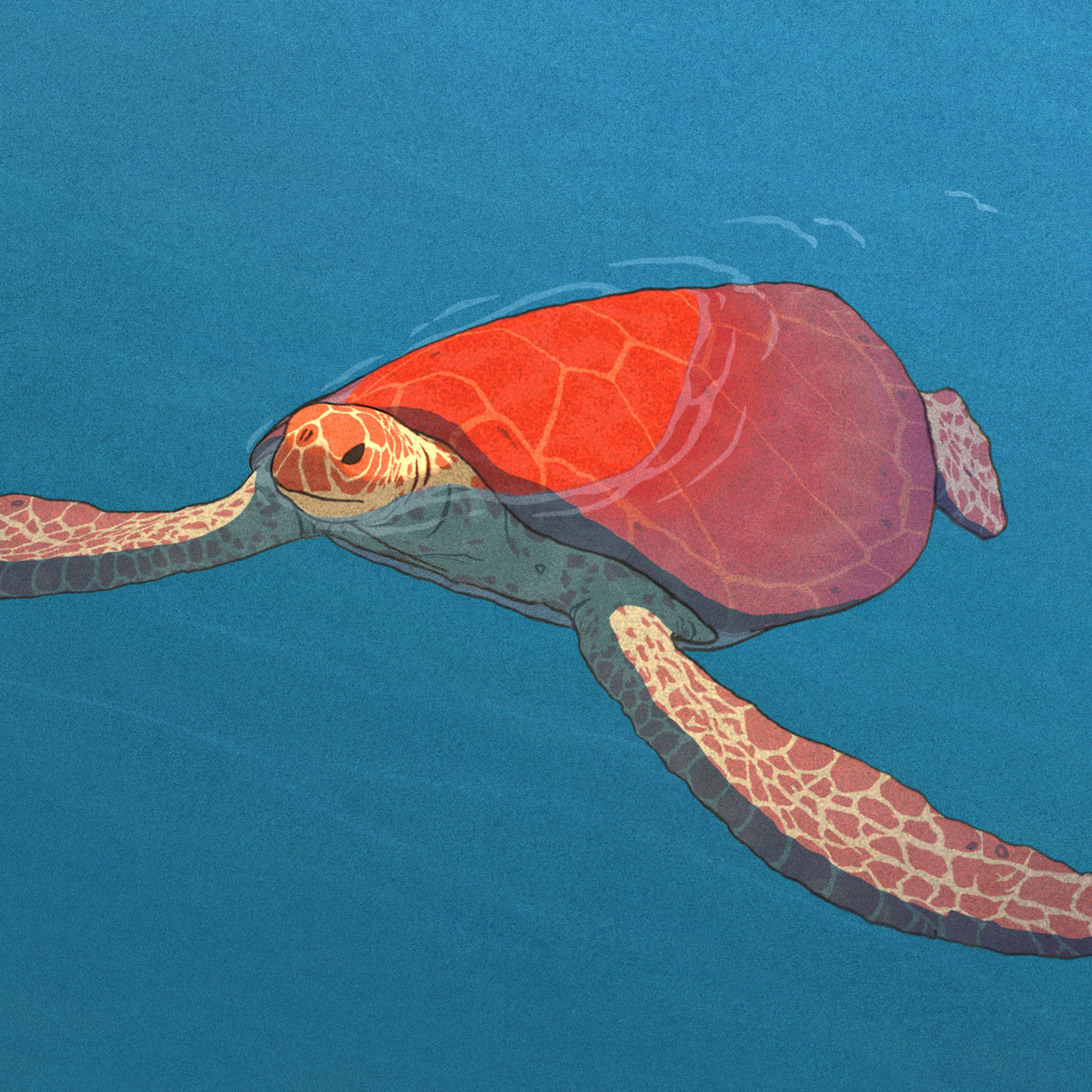 119. Colossal, The Red Turtle, & Twin Peaks episode artwork
