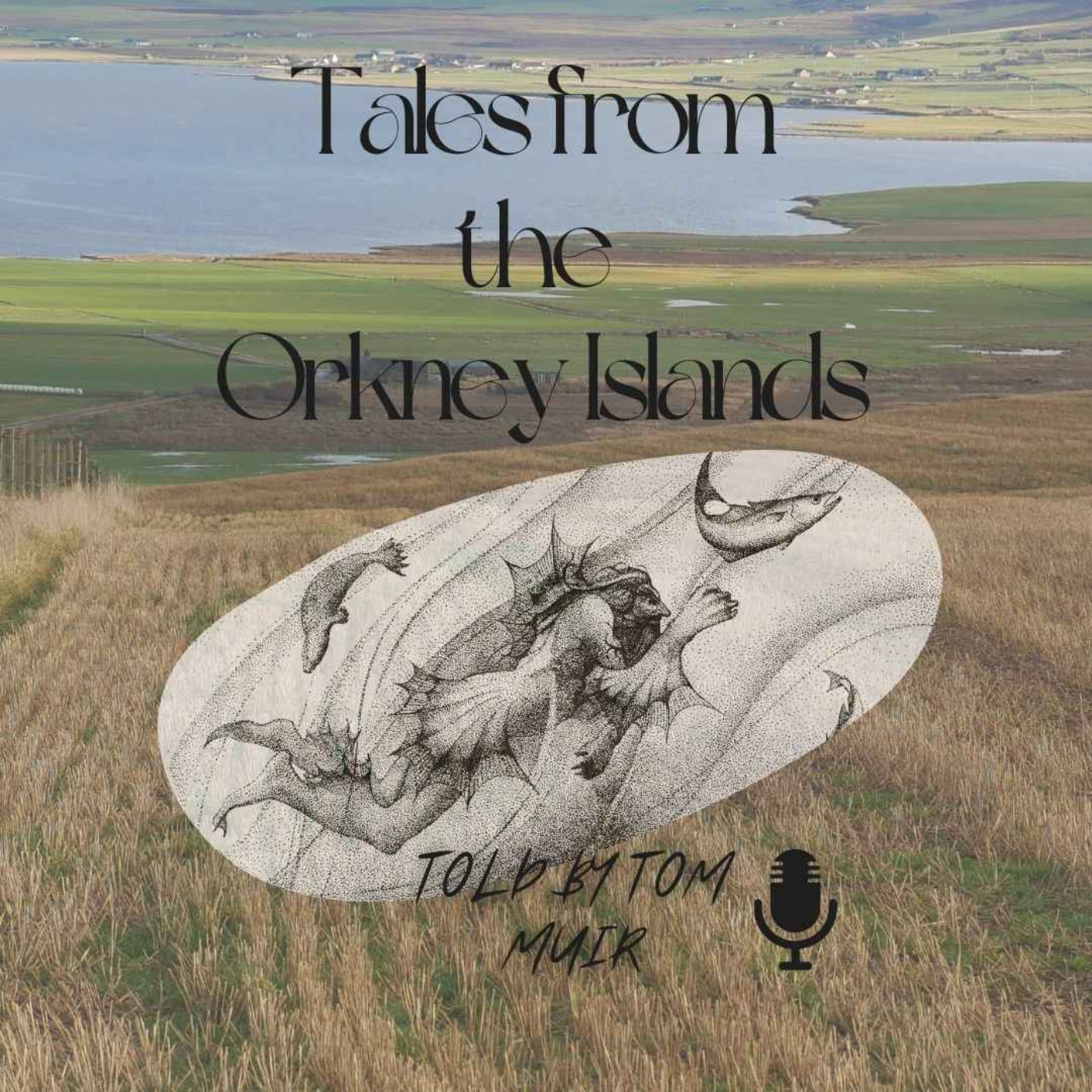 Orkney Folk Tales 4 ~ the Ultimate Compilation by Storyteller Tom Muir episode artwork