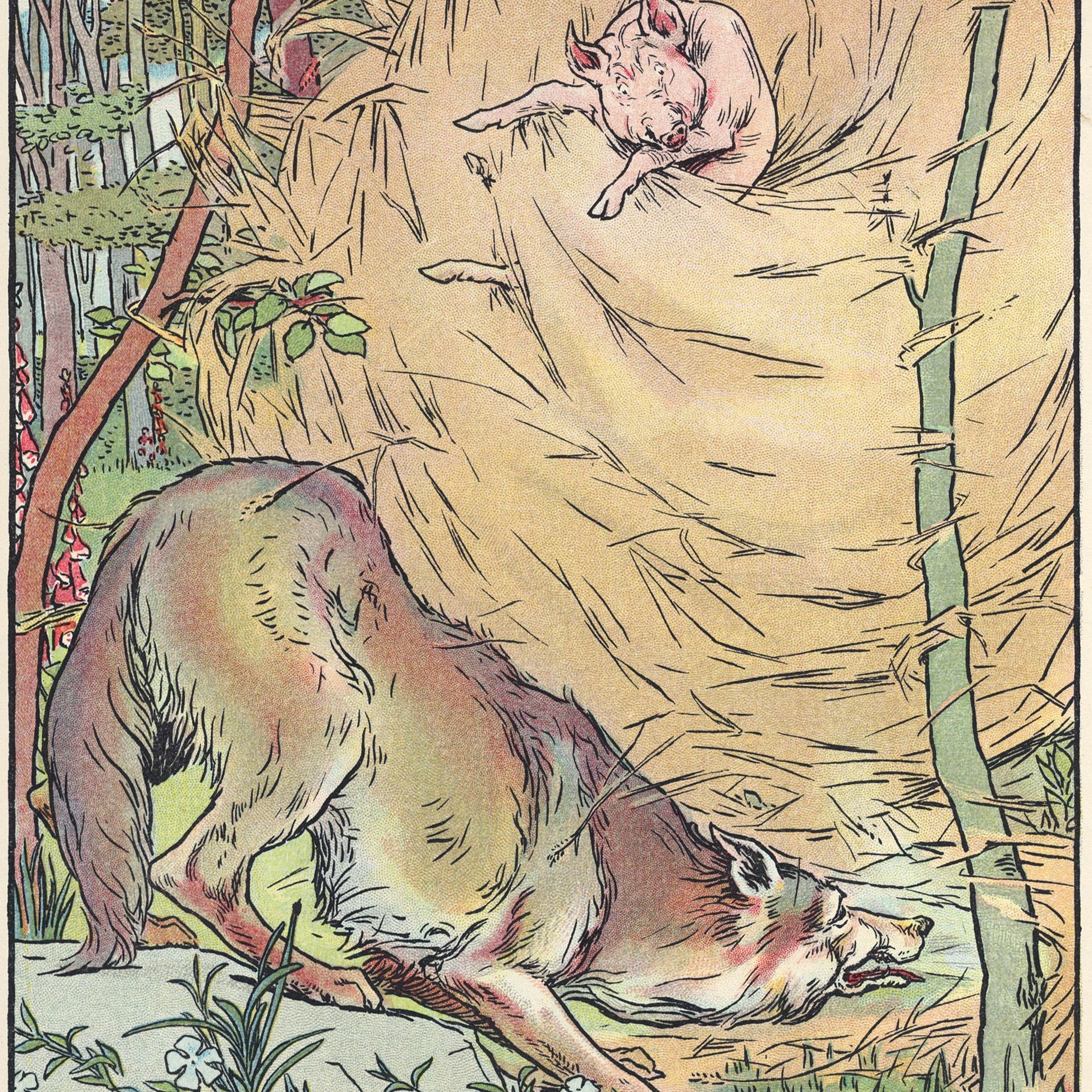Orkneyology.com ~ Orkney Islands native storyteller Tom Muir\'s \
