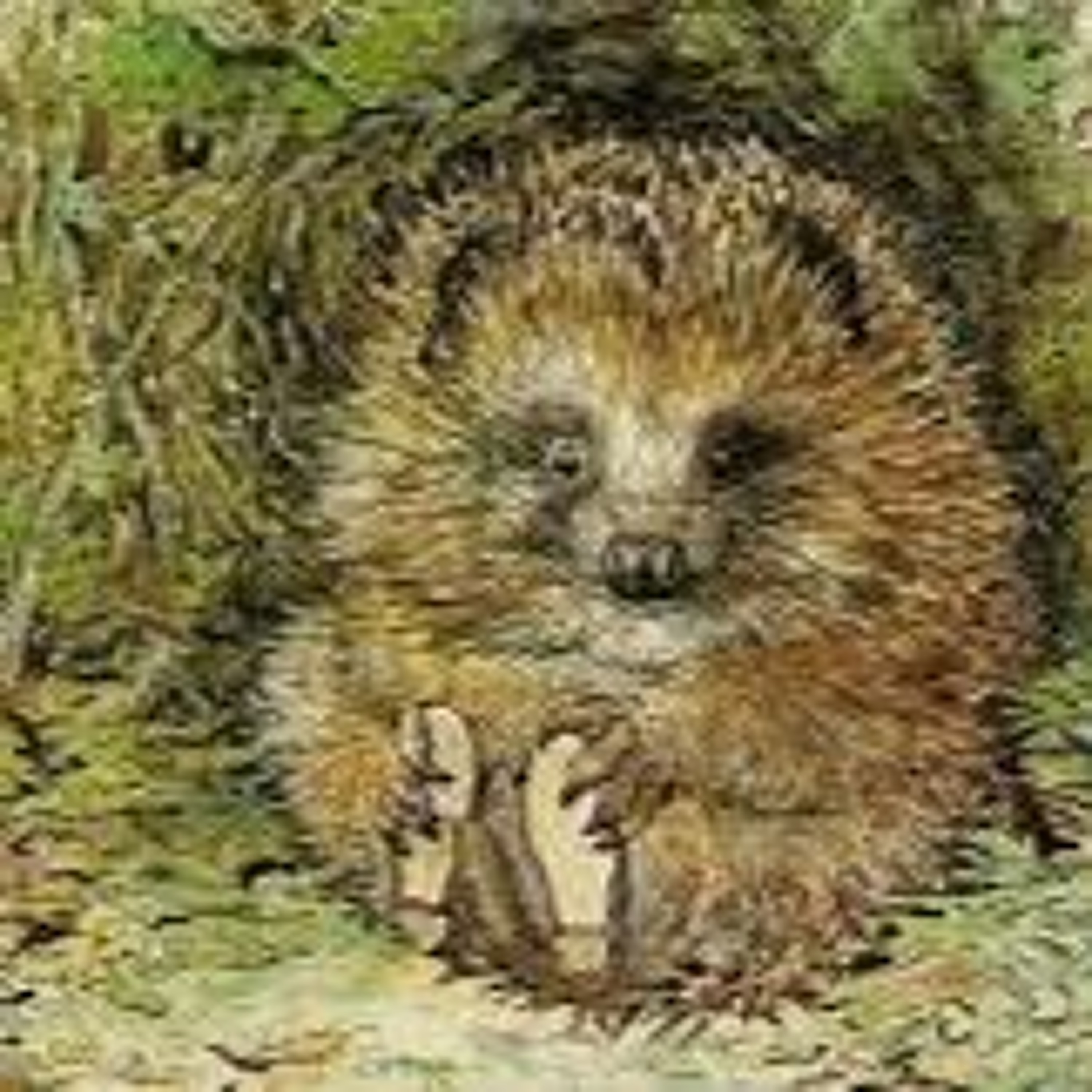 Orkneyology.com ~ Orkney Islands native storyteller Tom Muir\'s \