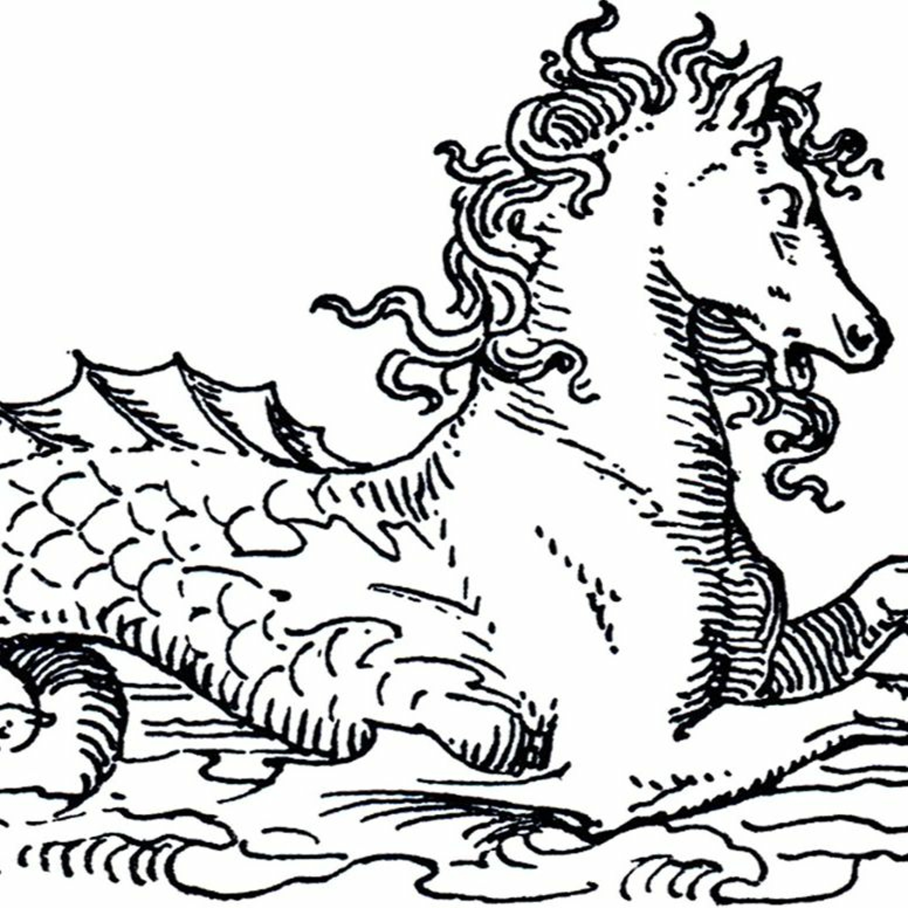 Orkneyology.com ~ Orkney Islands native storyteller Tom Muir\'s \