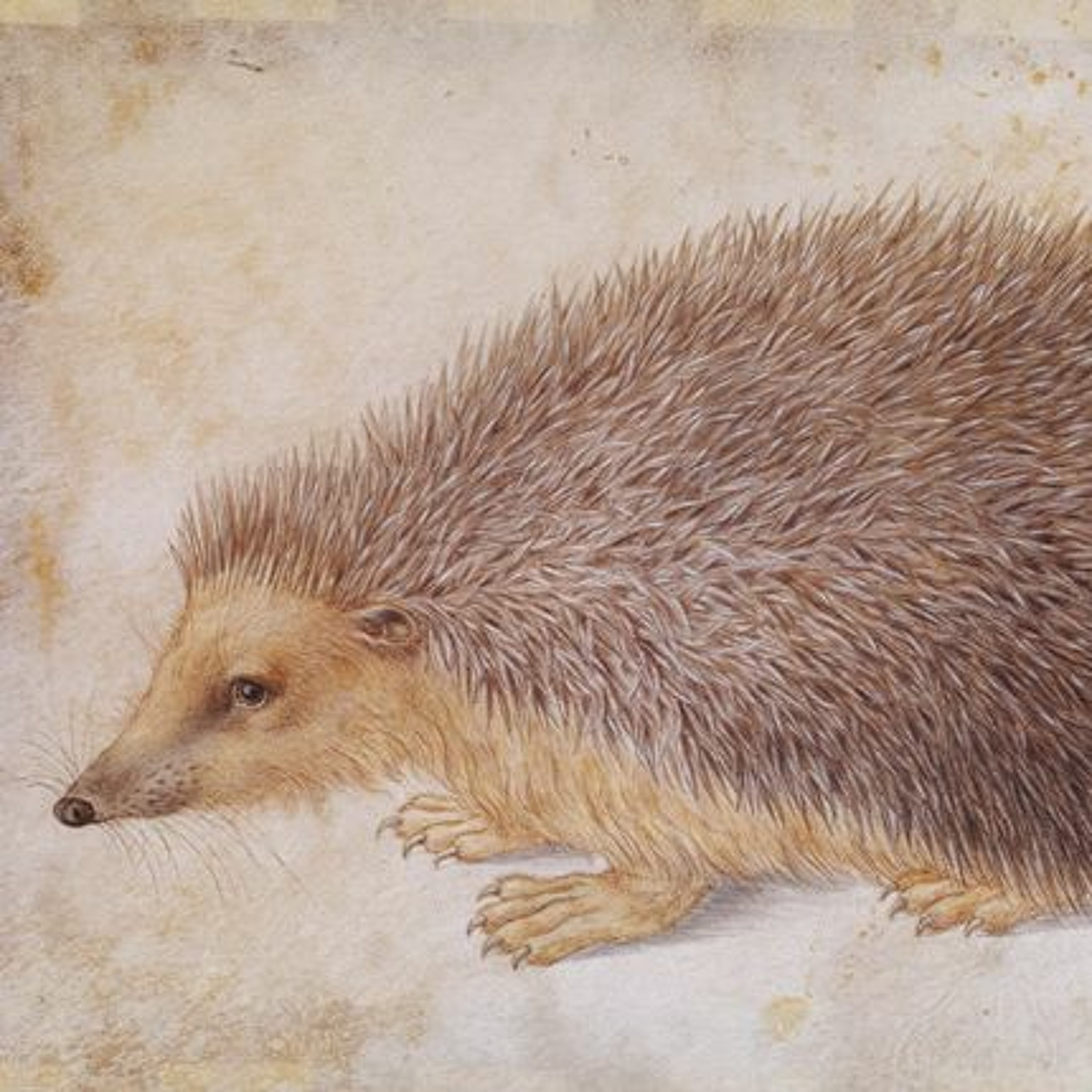 Orkneyology.com ~ Orkney Islands native storyteller Tom Muir\'s \