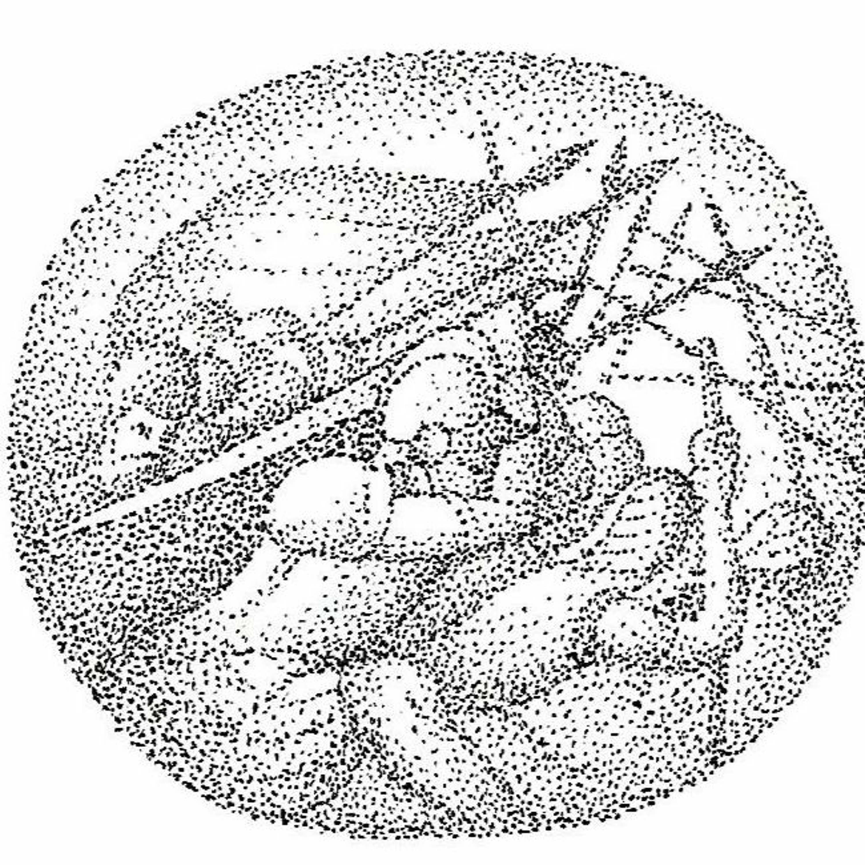 Orkneyology.com ~ Orkney Islands native storyteller Tom Muir\'s \