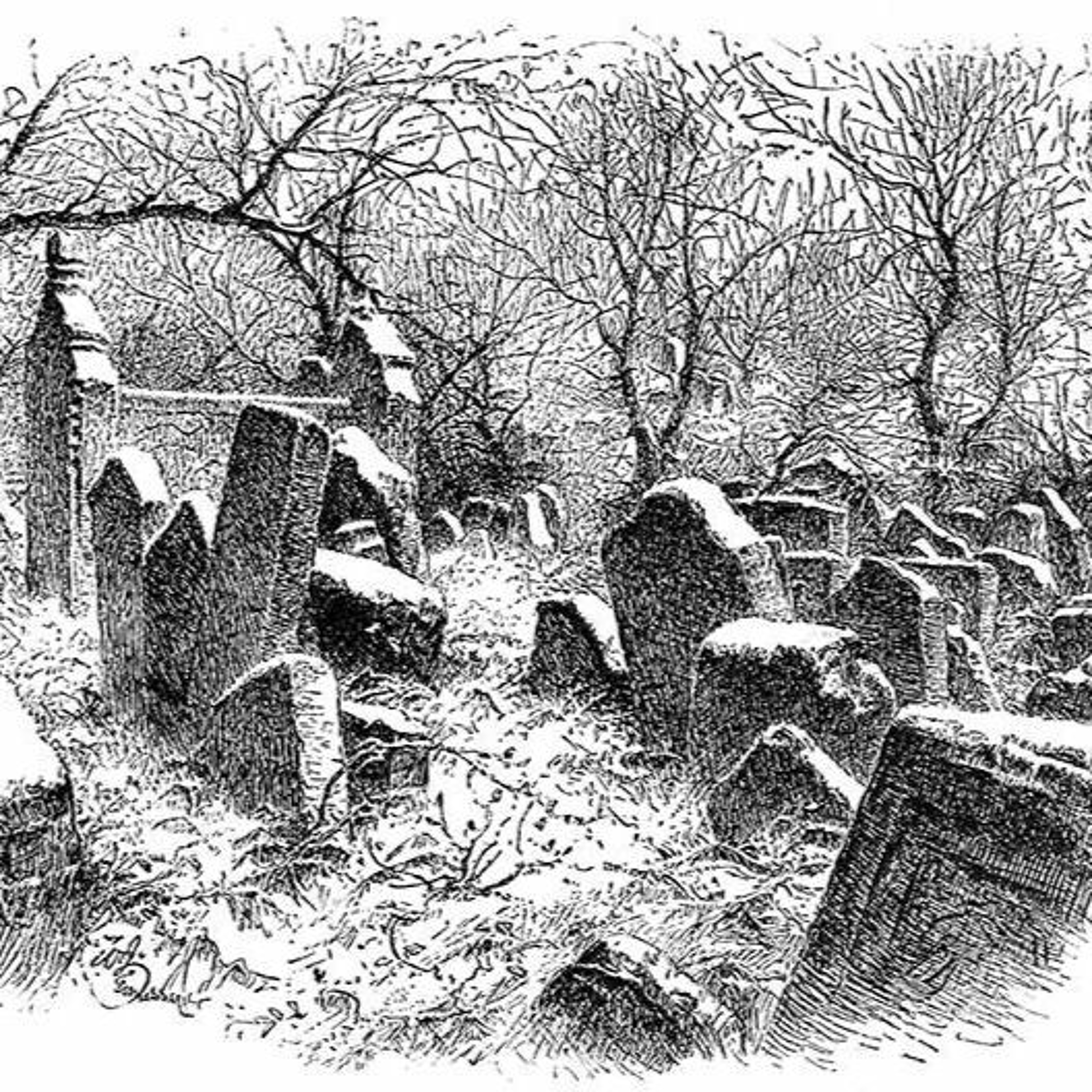 Orkneyology.com ~ Orkney Islands native storyteller Tom Muir\'s \