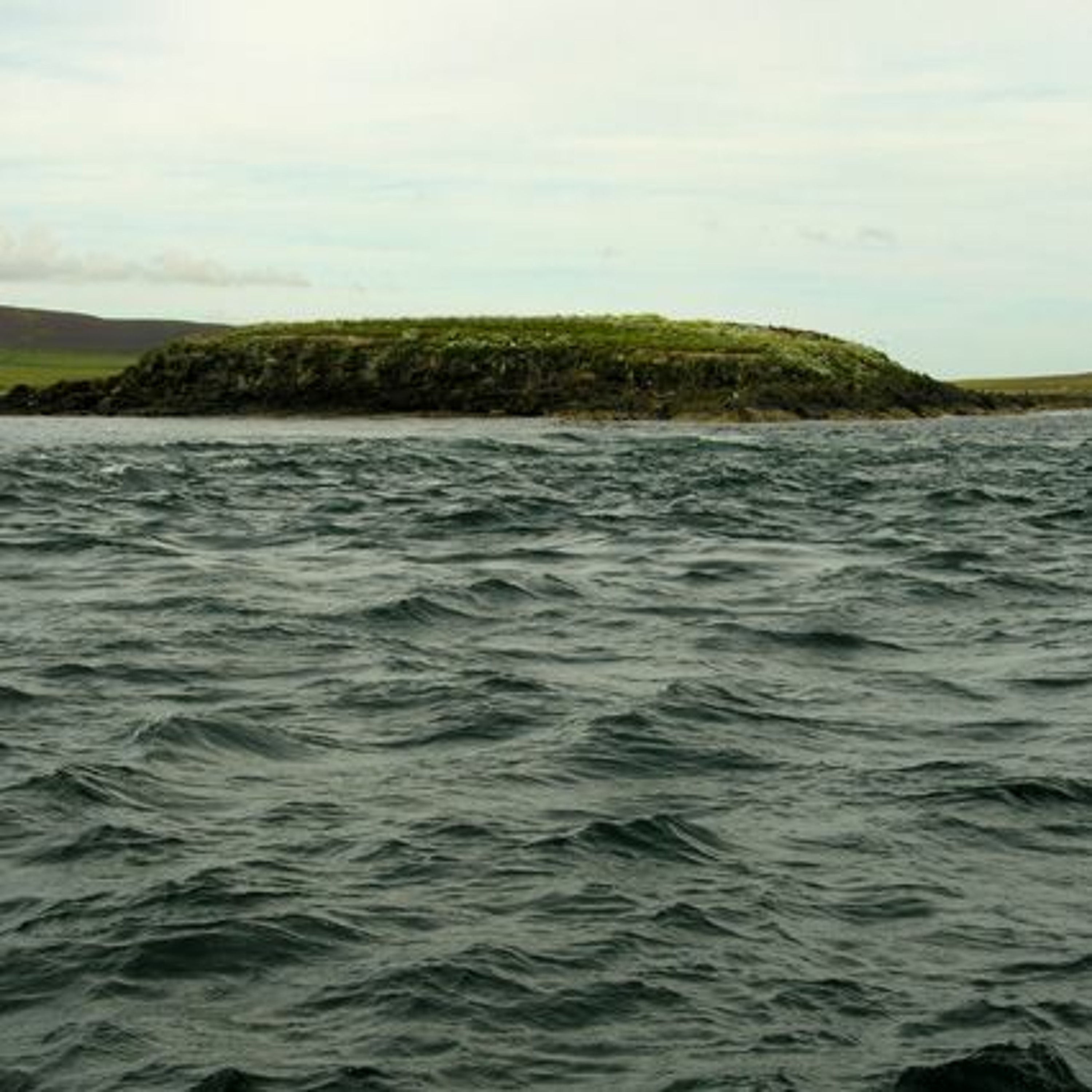 Orkneyology.com ~ Orkney Islands native storyteller Tom Muir\'s \