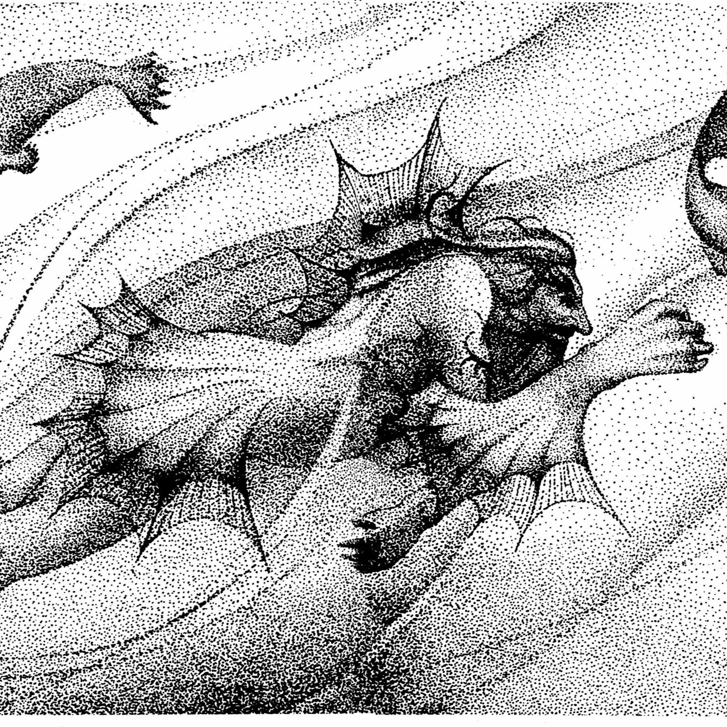 The Death of the Fin King episode artwork