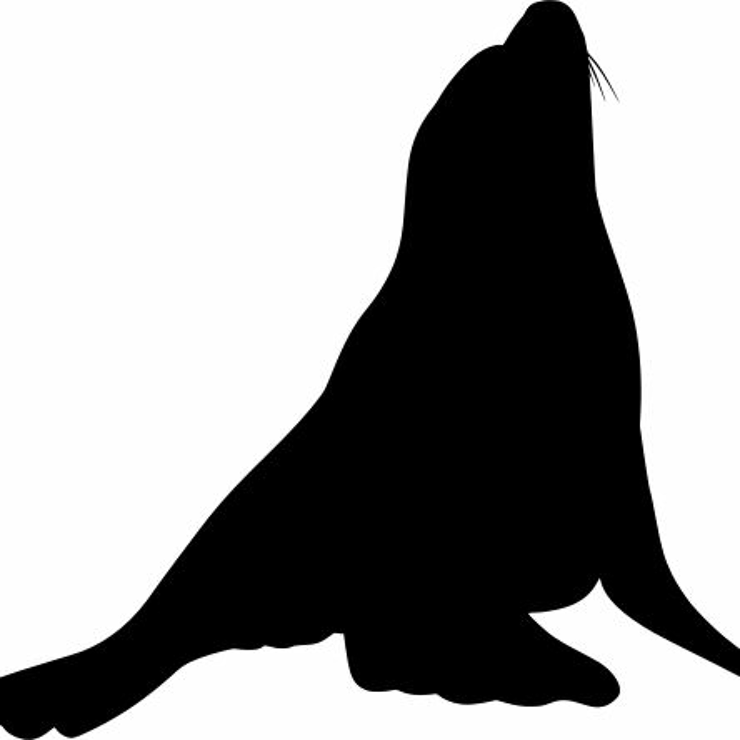 The Seal Killer episode artwork