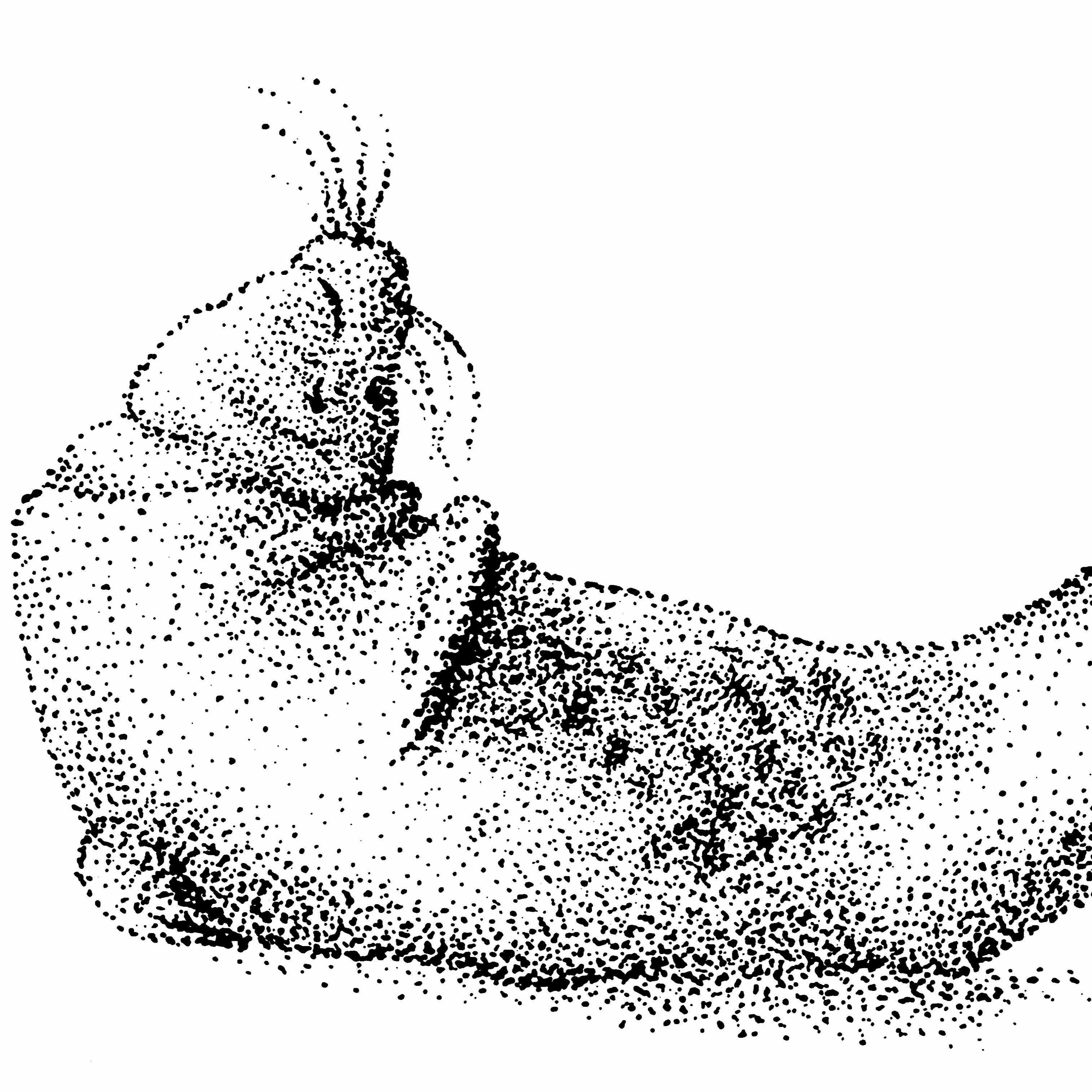 The Selkie That Didna Forget episode artwork