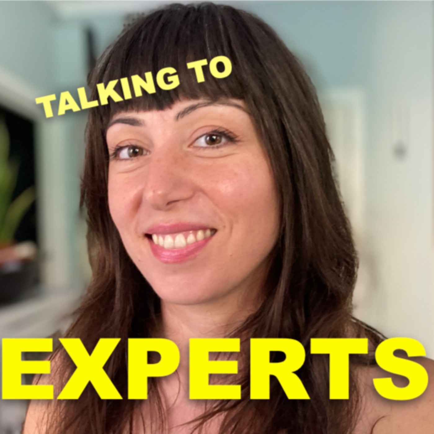 Talking to Experts