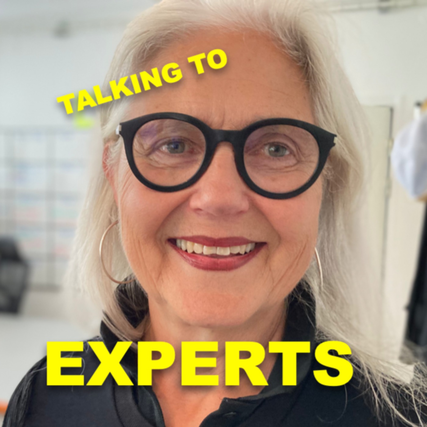 Talking to Experts