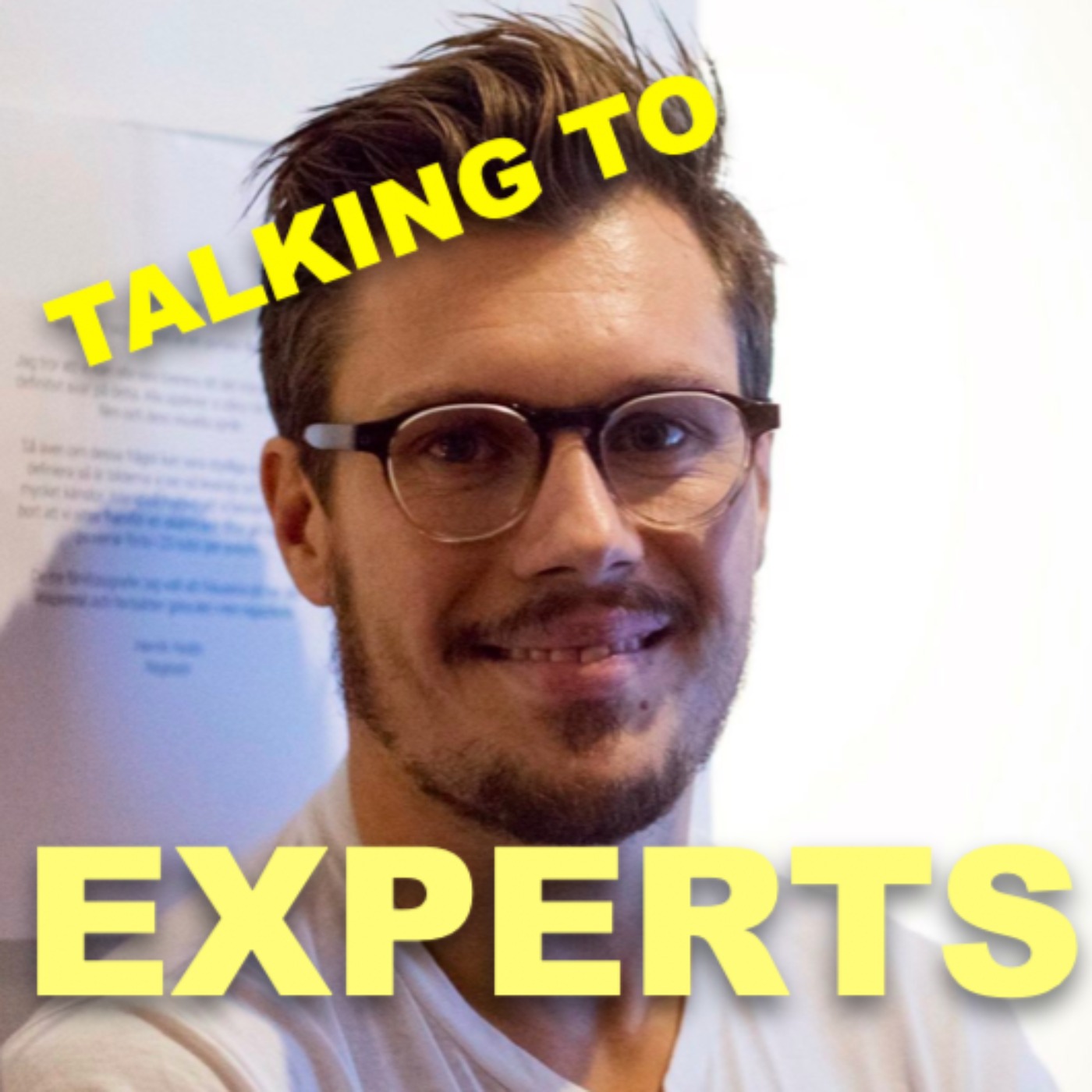 Talking to Experts