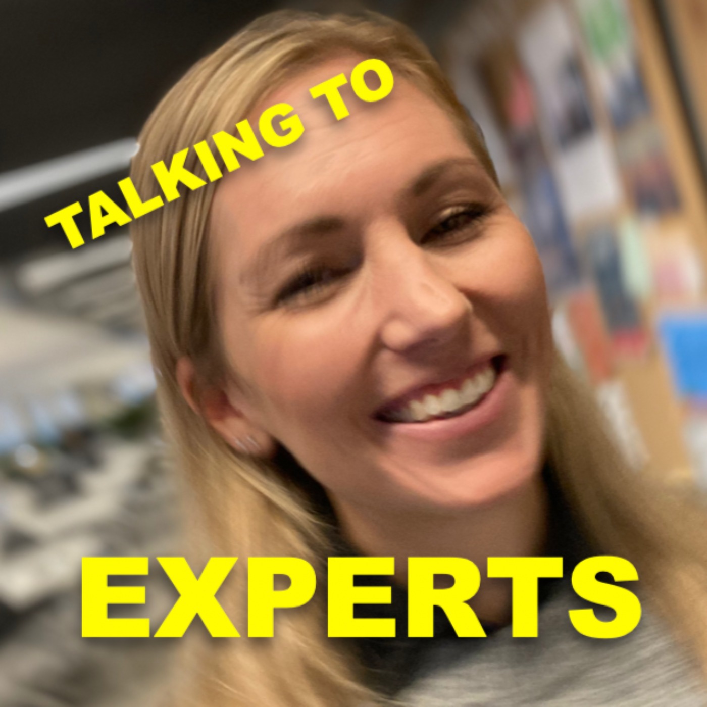 Talking to Experts