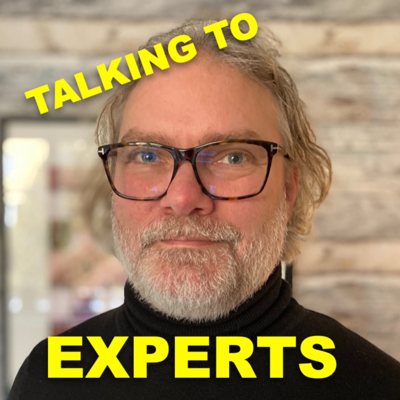Talking to Experts